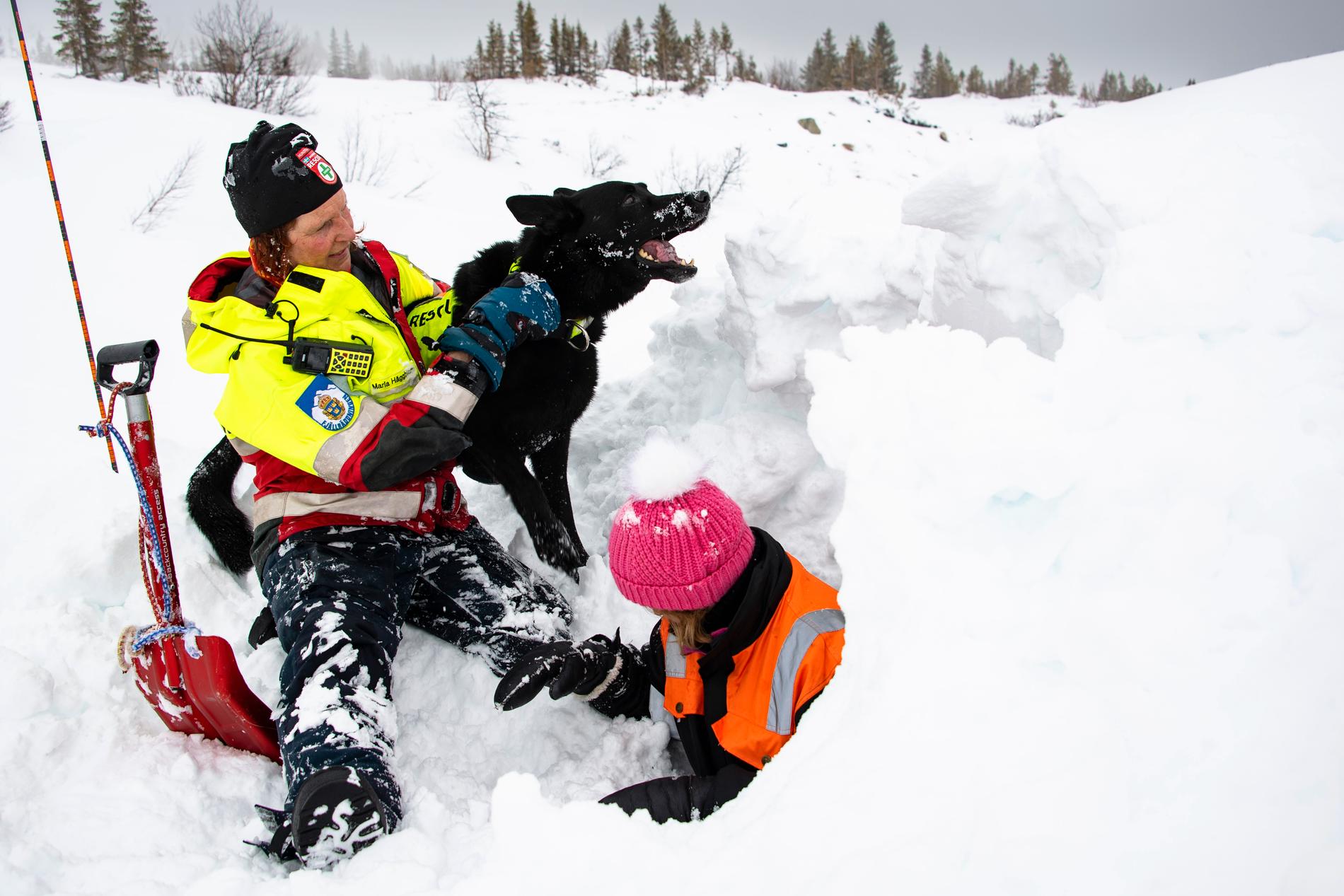 Maria berättar om en insats där en hund lyckades få vittring efter en person som låg begravd på nio meters djup under snön. I dagens övning söker Krut efter en person som ligger nedgrävd i en snögrotta.