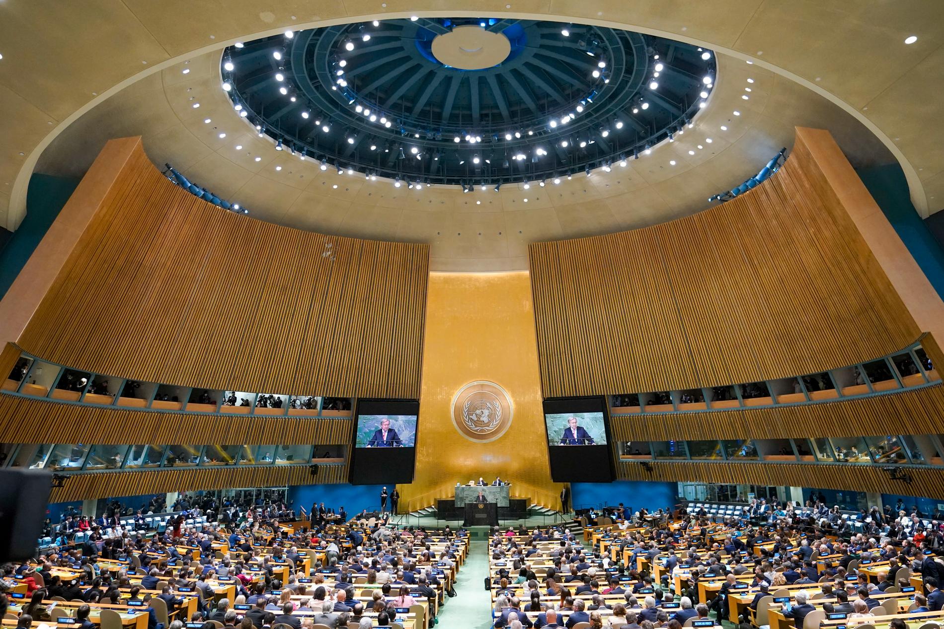 Världens ledare är på plats i New York för FN:s toppmöte.