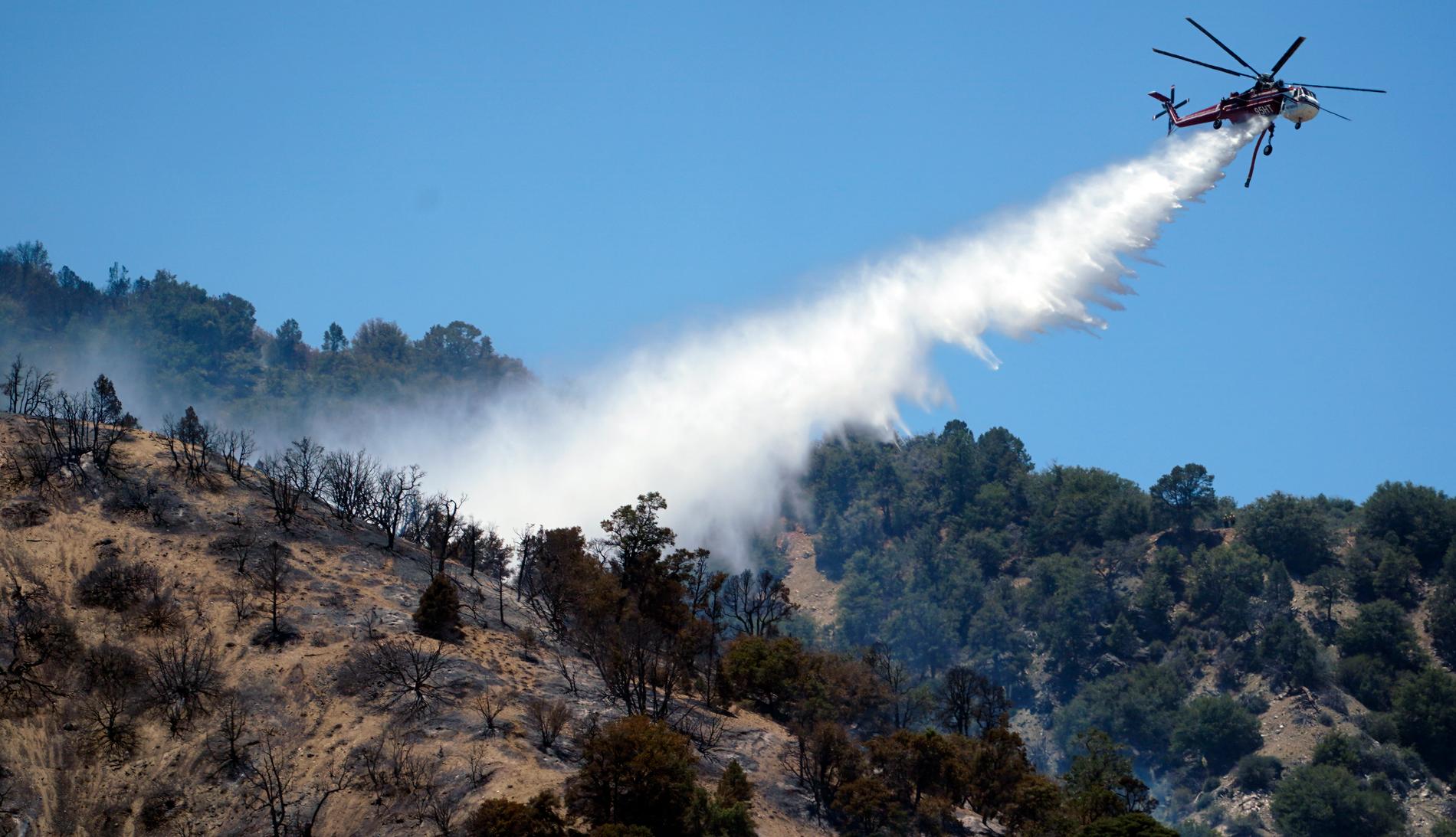 En helikopter släpper vatten över en av de jättebränder som härjar i Kalifornien.
