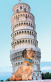 Oscar framför lutande tornet i Pisa.