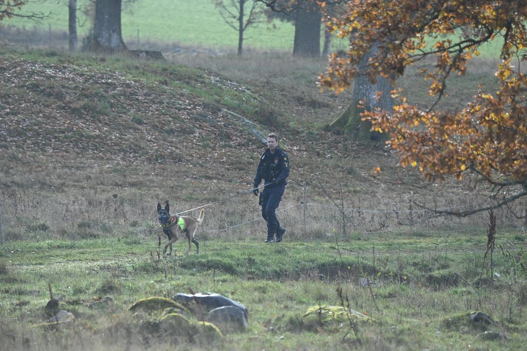 Flera polispatruller med polishundar har på torsdagsförmiddagen sökt igenom ett skogsområde utanför Vetlanda. Polisen har tidigare genomfört en stor insats i samma område.