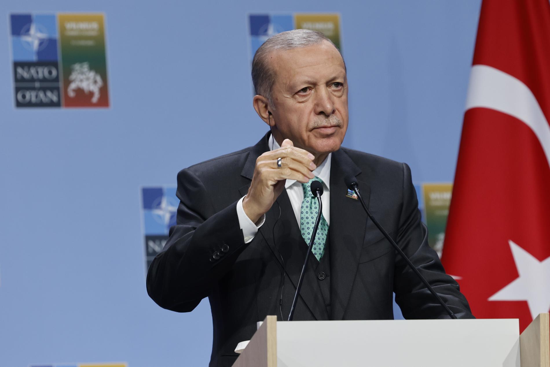 Erdogan under onsdagens pressträff.