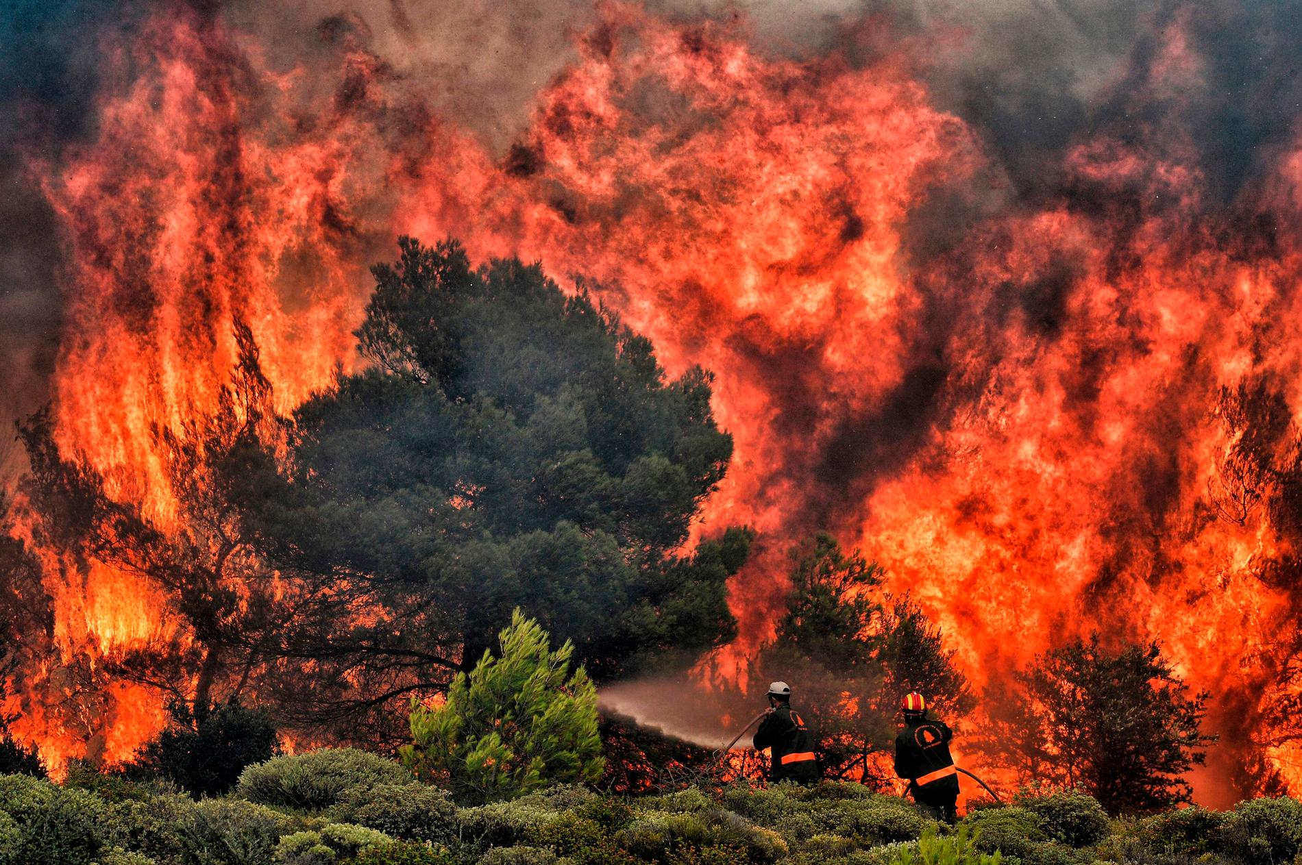 Grekiska brandmän bekämpar bränderna