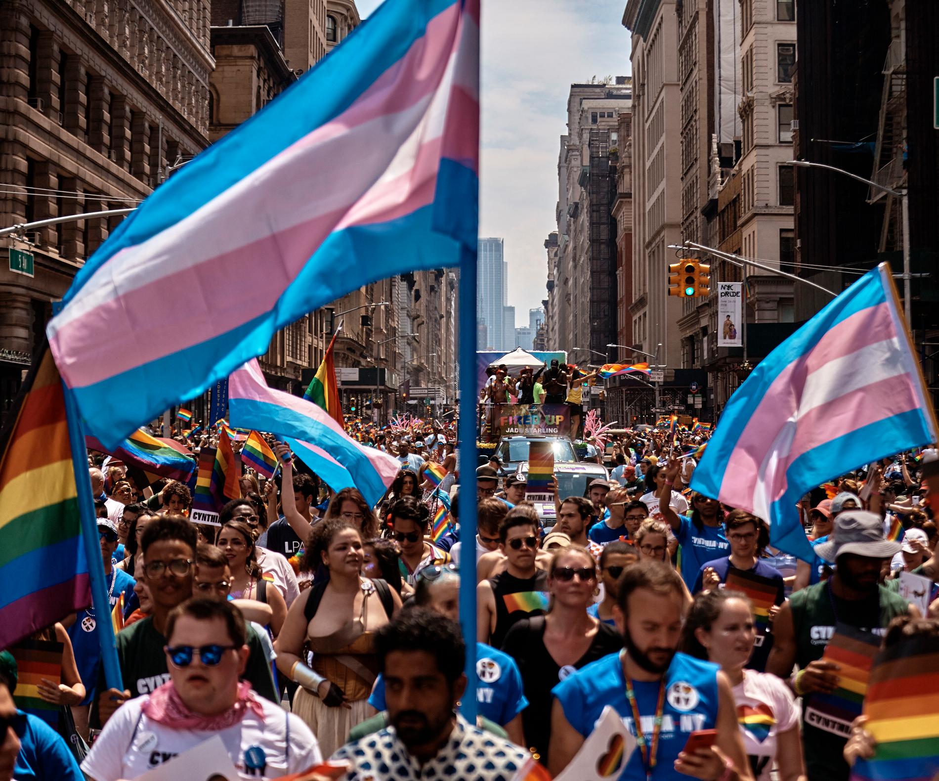 Transflaggor i prideparaden i New York, 2018.