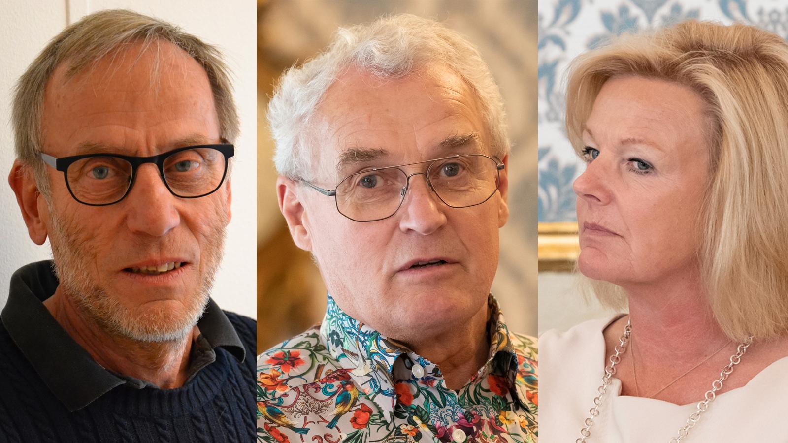 Claes Stråth, Jan Sjölin och Cecilia Fahlberg Pihlgren har kallats in för att rädda SAS undan en pilotstrejk.
