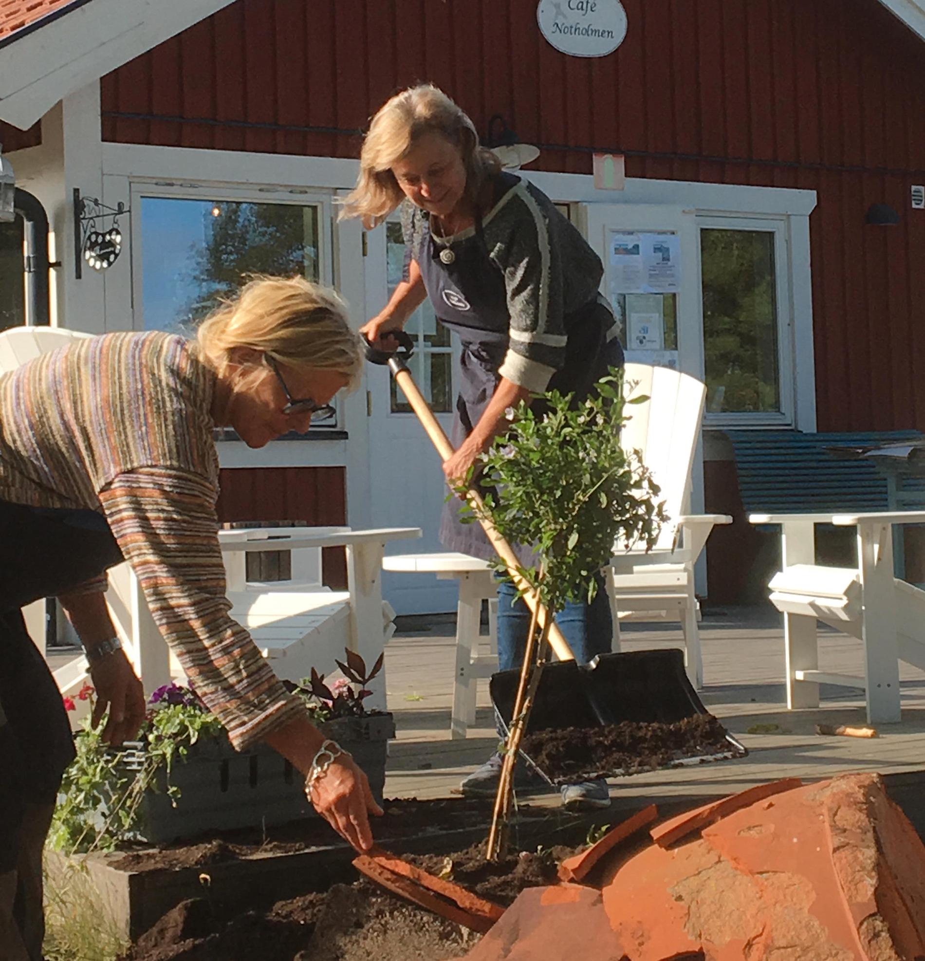 Anette Berg och Pia Hedberg driver caféet Notholmen vid Tyresö. 