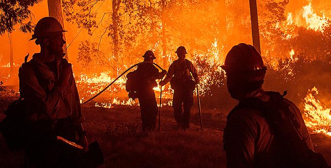 Brandmän slåss mot lågorna i Kalifornien. Katastrofen av historiska mått anses ha förvärrats av klimat-krisen.