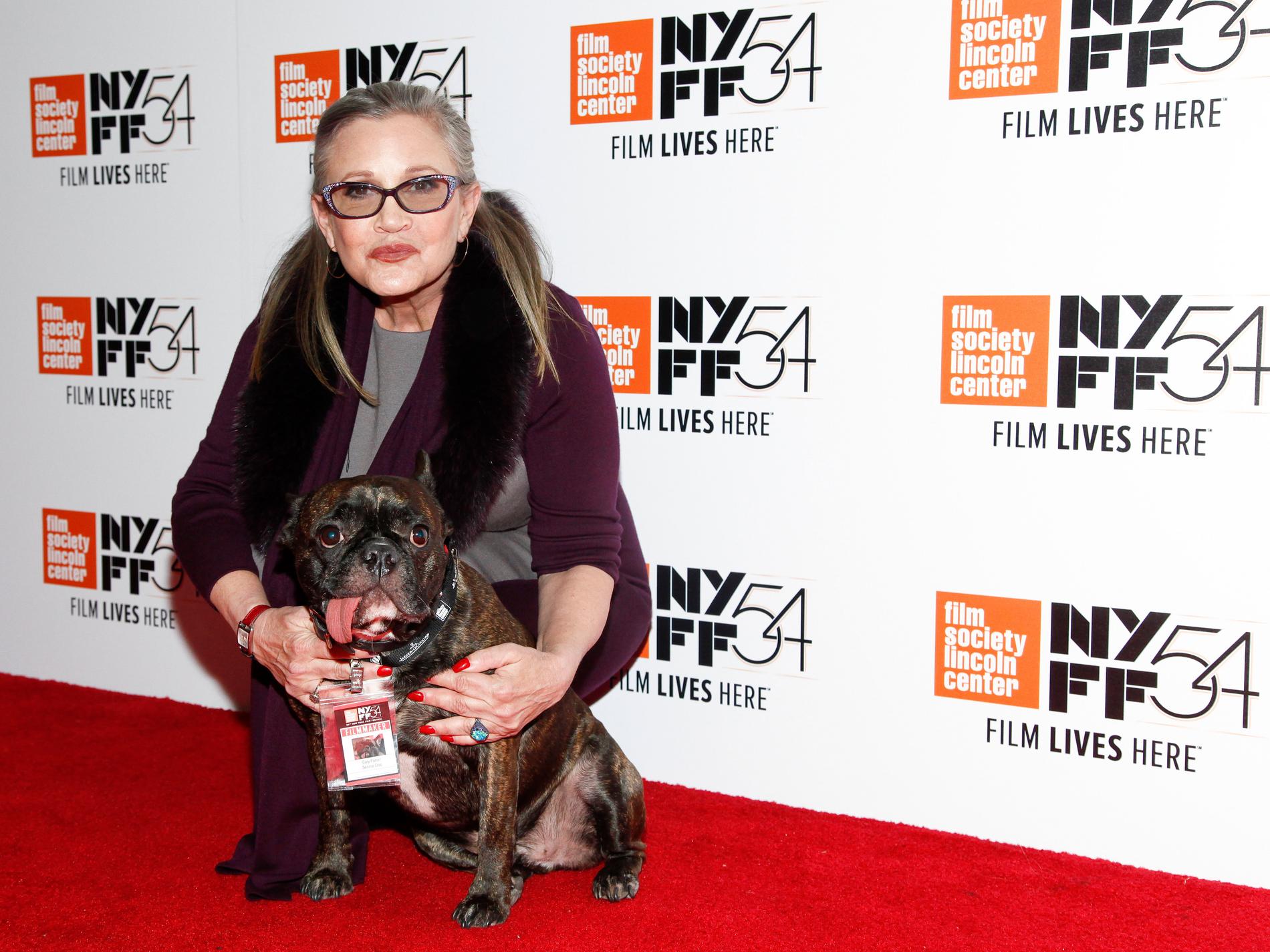 Carrie Fisher med hunden Henry vid en förhandsvisning av "Bright Lights: Starring Carrie Fisher and Debbie Reynolds" i New York 2016