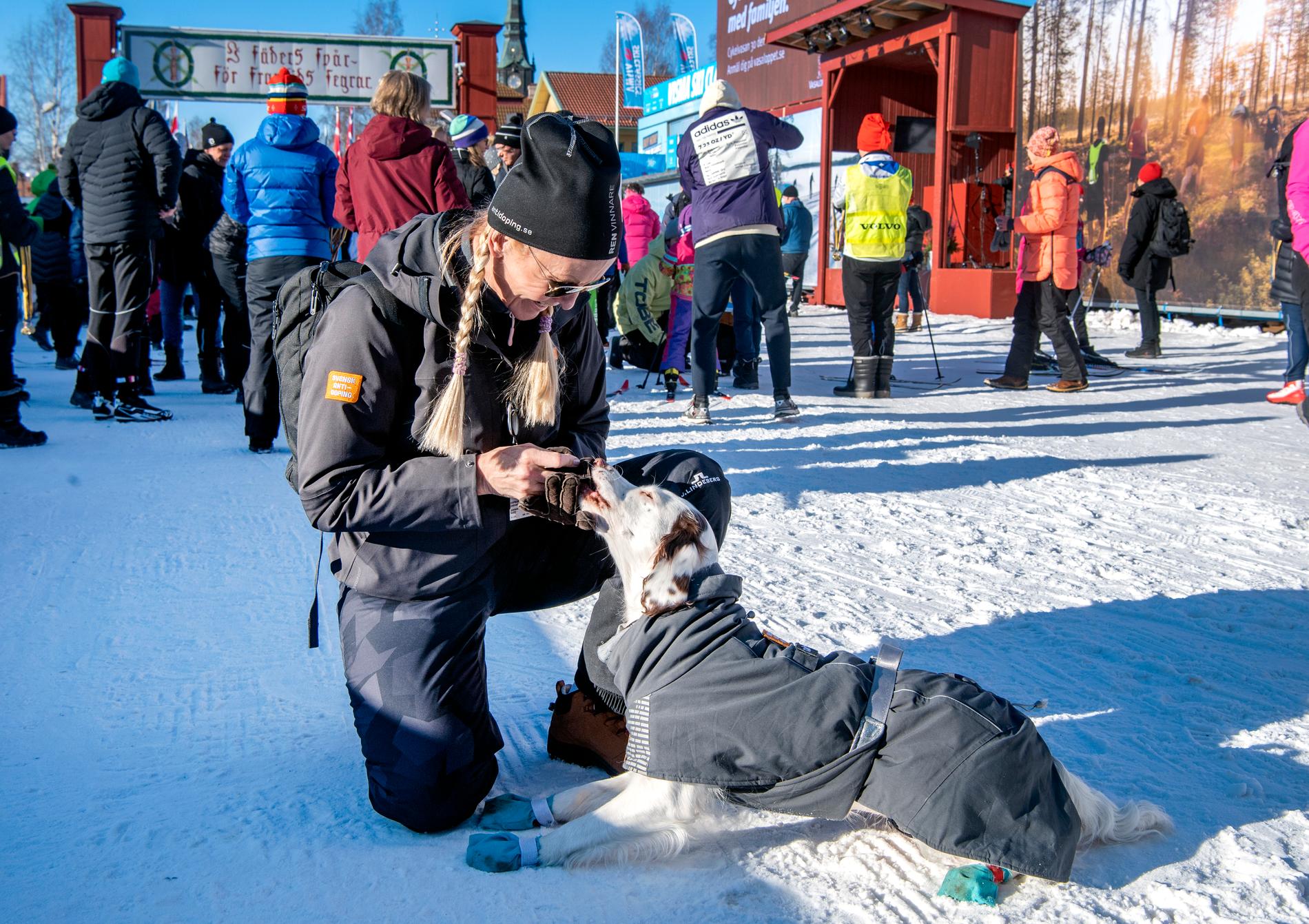 Joanna Sjöö och hunden Molly jagar dopningsfuskare i Vasaloppet.