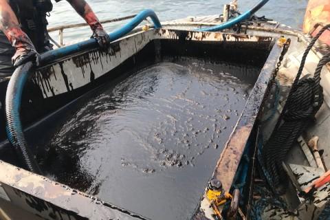 Kustbevakningen har lyckats få upp 7 000 liter olja ur vattnet, men nu fortsätter olja mot kobbar och skär. Det är oklart hur mycket olja som läckt ut från Makassar Highway.