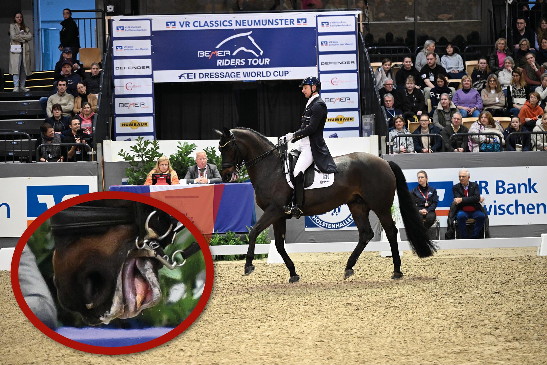 At the World Cup competition in Neumünster on February 18, Patrik Kittel's horse Forever Young had a blue-purple tongue – right in front of the judge. He finished second.