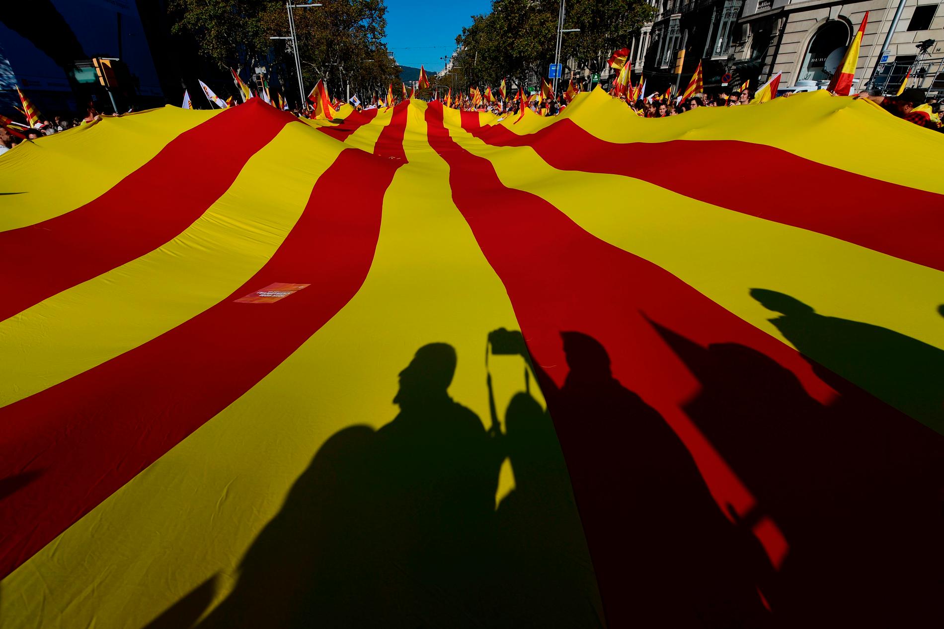 Söndagens manifestation går under slagordet "Vi är alla Katalonien!".