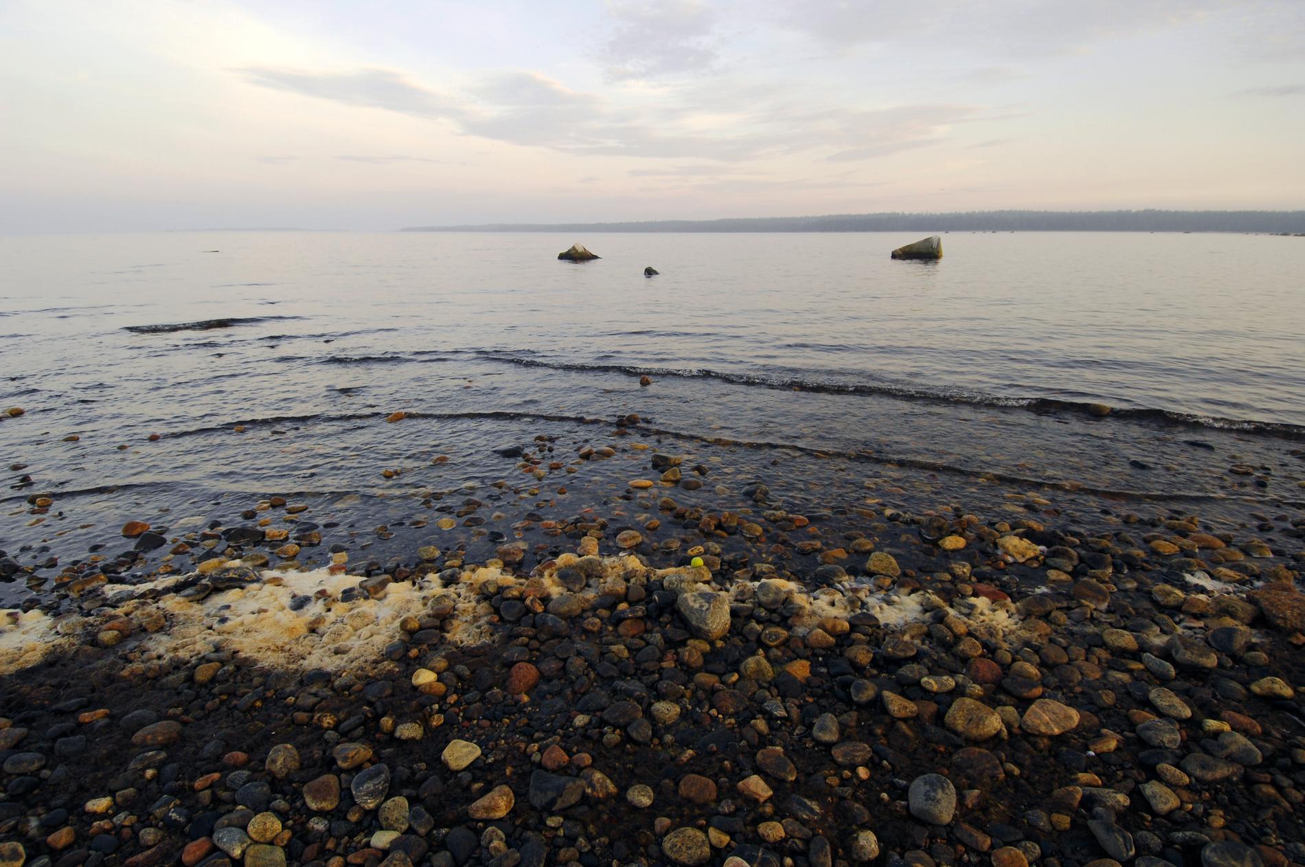 Miljoner kubik av giftiga muddermassor får dispens för att dumpas i Östersjön. Arkivbild.