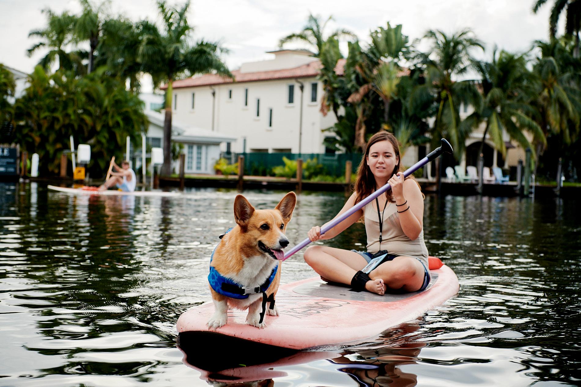 Hundsurfing är en del av upplevelseprogrammet. 