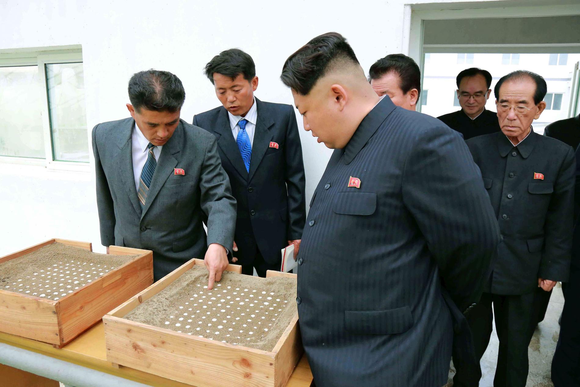 Ledaren Kim Jong-un upptäcker en rad "allvarliga tillkortakommanden".
