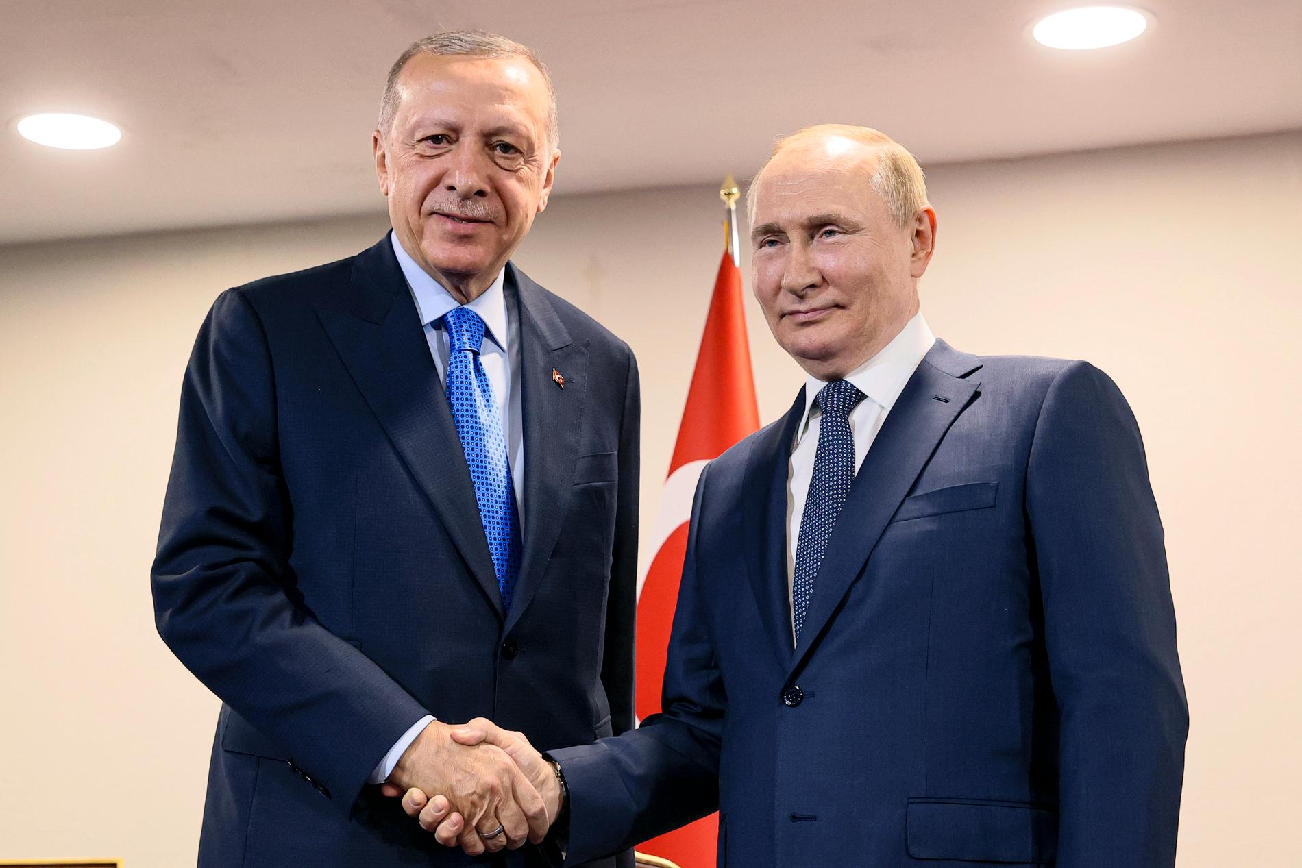 Presidenterna Erdogan och Putin möttes i Teheran den 19 juli.