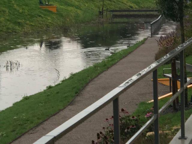 I Linköping svämmade ån i Vallastaden över.