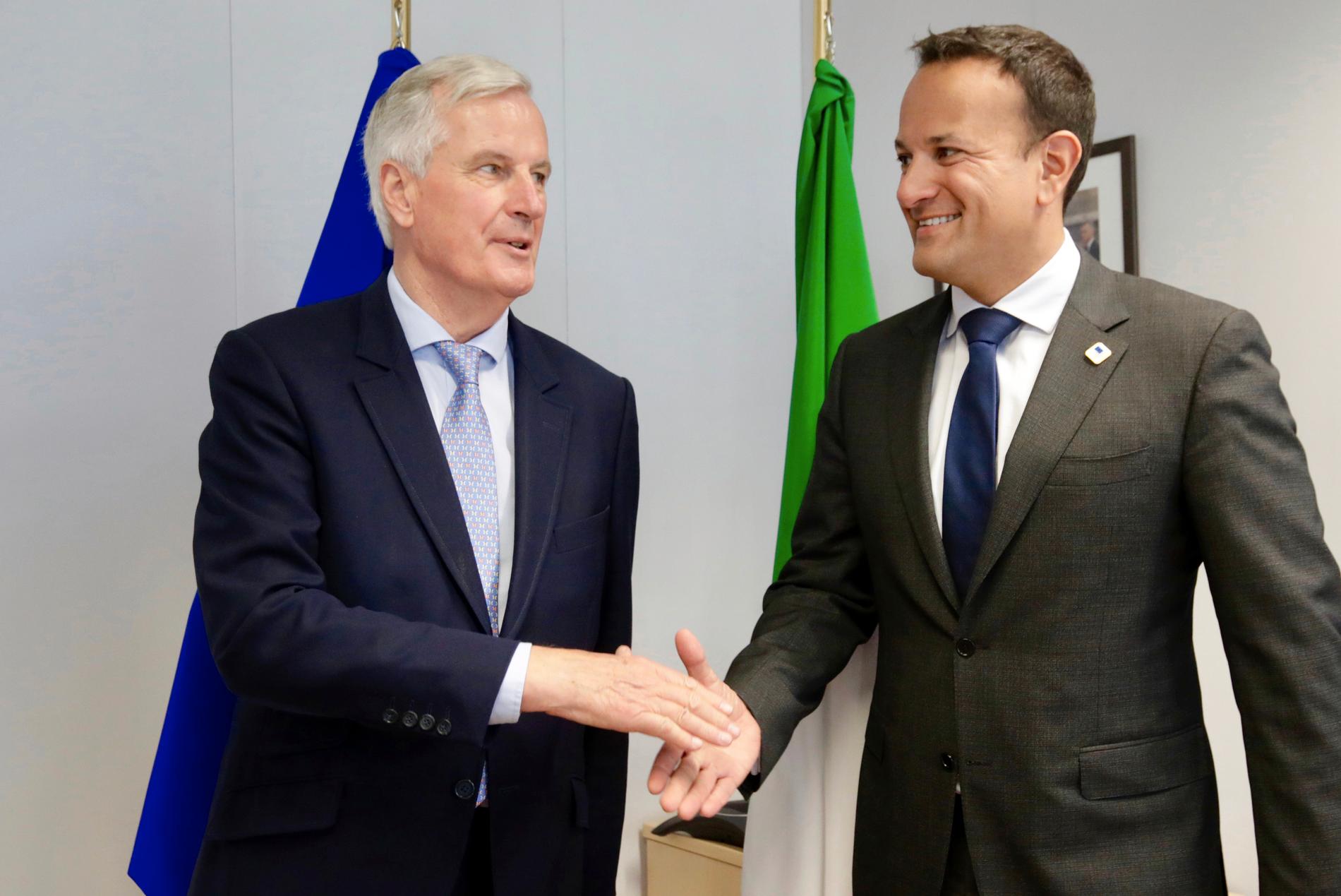 Franske brexitförhandlaren Michel Barnier och irländske premiärministern Leo Varadkar nämns flitigt i spekulationerna om olika toppjobb i EU. Arkivbild.