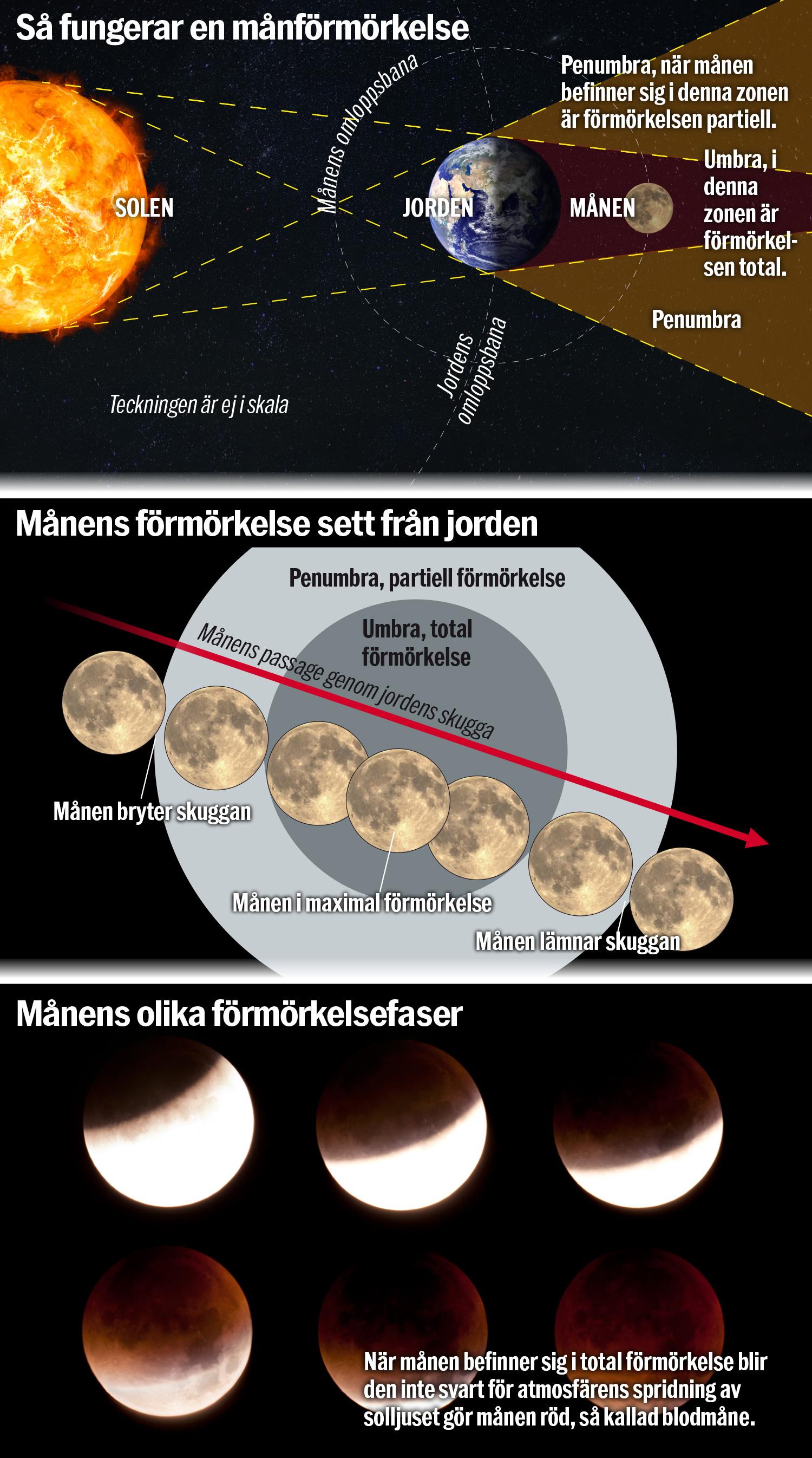 Grafik över månförmörkelsen. 