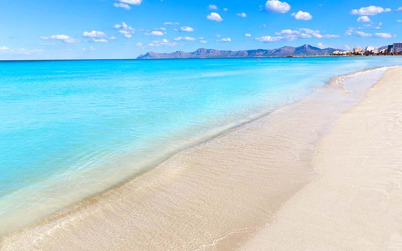 Stranden på Alcudia på Mallorca är väldigt uppskattad hos barnfamiljer, för de fina och långgrunda vattnet