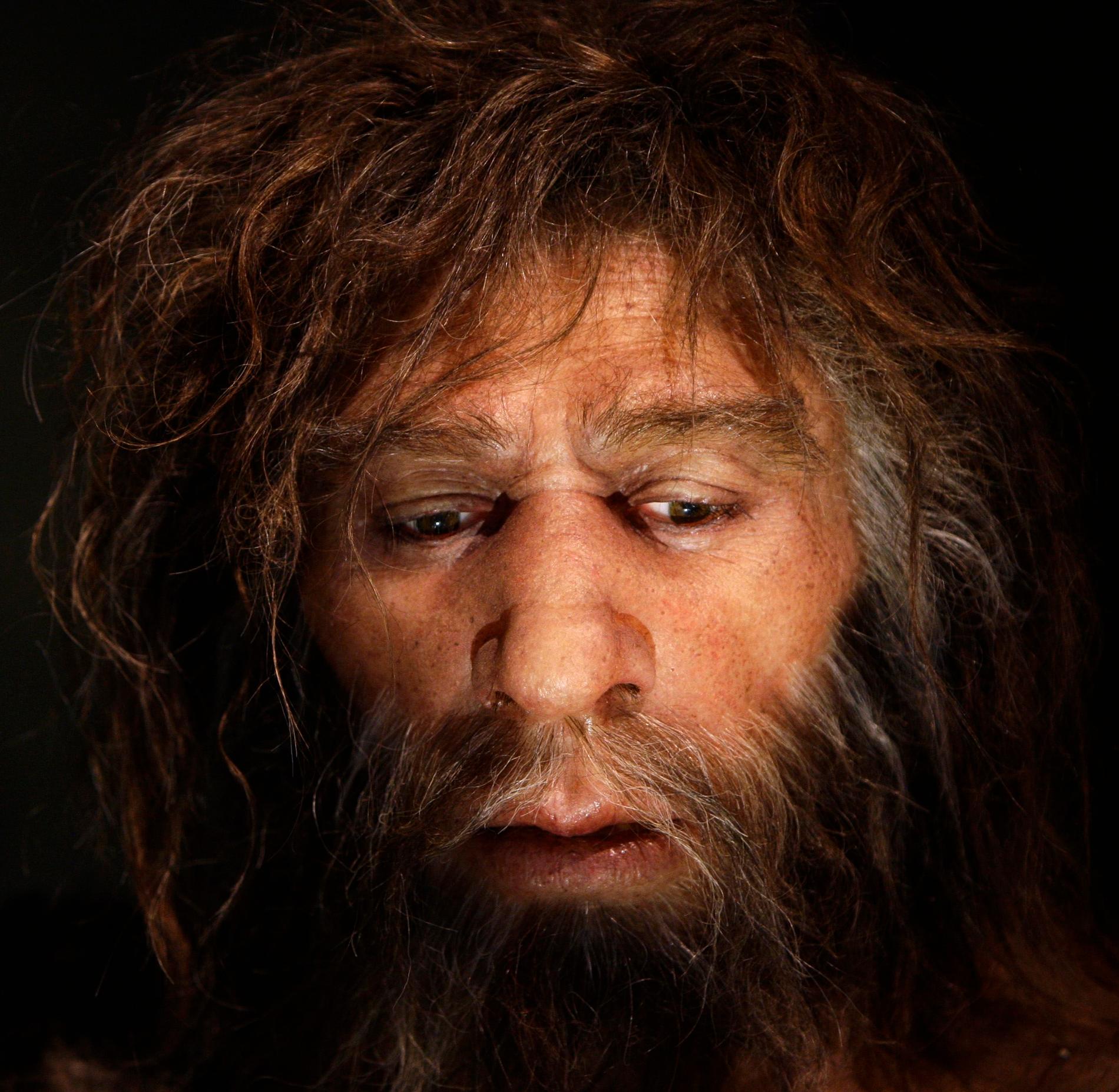Människans arvsmassa, förutom de med ursprung i Afrika, innehåller gener från neandertalarna. Därför tror forskarna att vår egen människoart, Homo sapien, stötte på neandertalarna i dagens Mellanöstern, eftersom det var därifrån vi sedan spreds både till Asien och Europa.