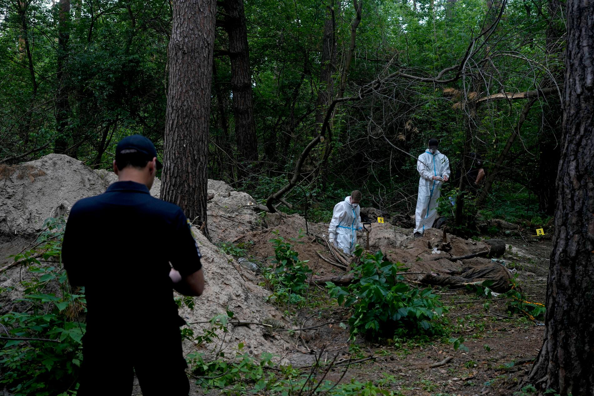 Sju döda personer har hittats i skogen utanför Kiev. 