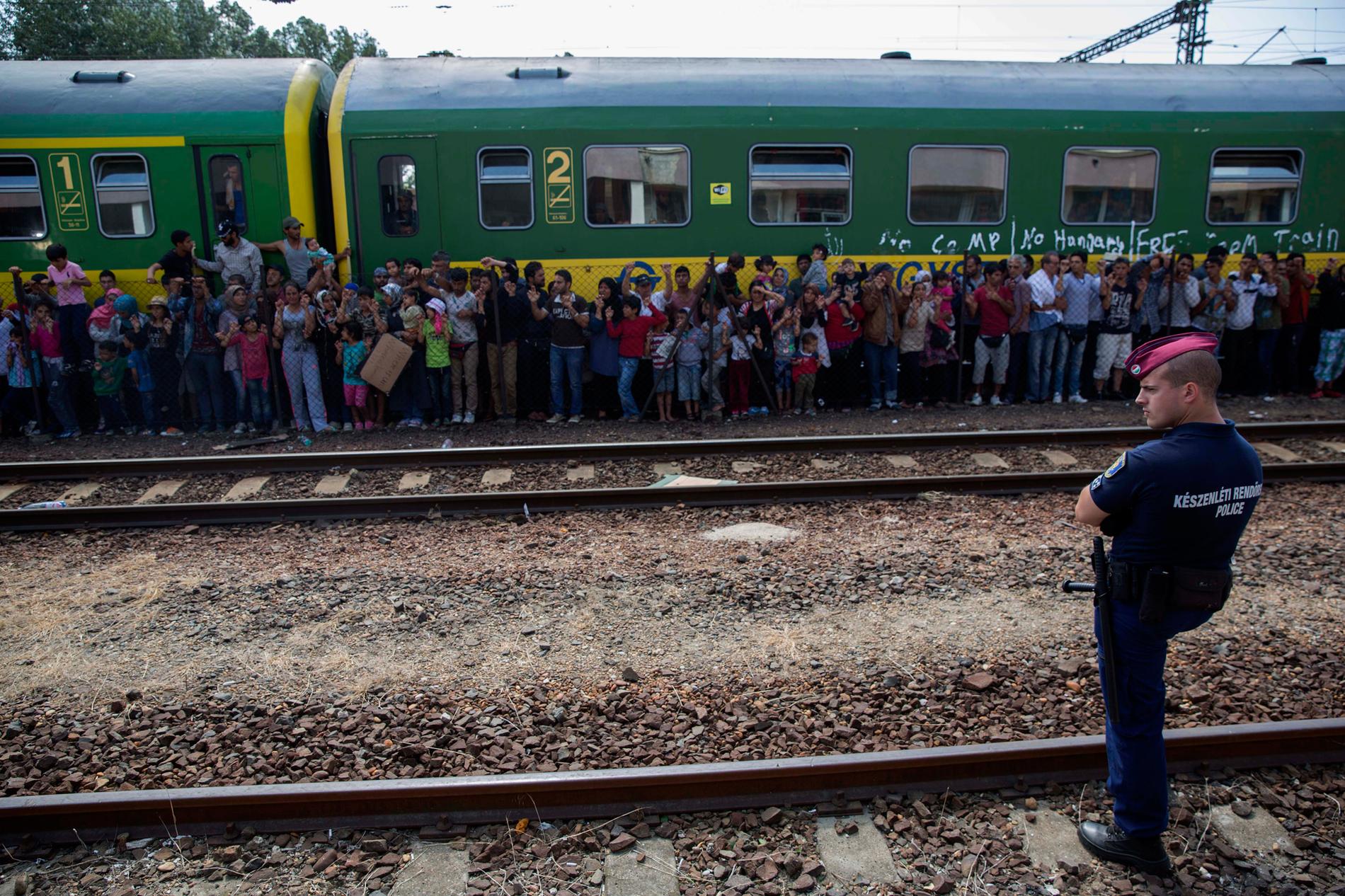 Migranter vägrar lämna ett tåg. De vill inte registrera sig i Ungern då de är rädda att de inte kan söka asyl i andra länder. Foto: Niclas Hammarström
