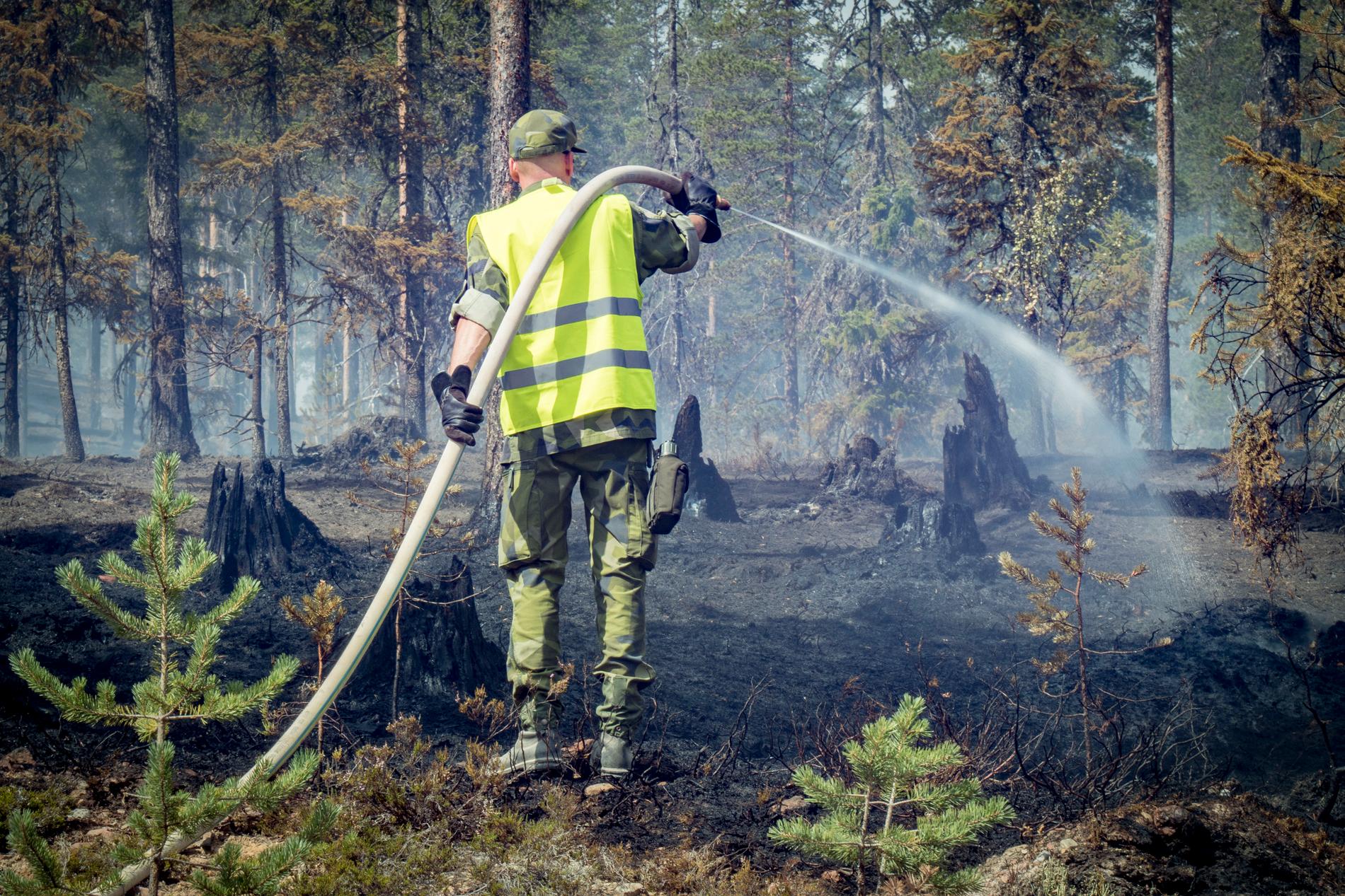 Skogsbranden vid Trängslet var mycket svårsläckt.