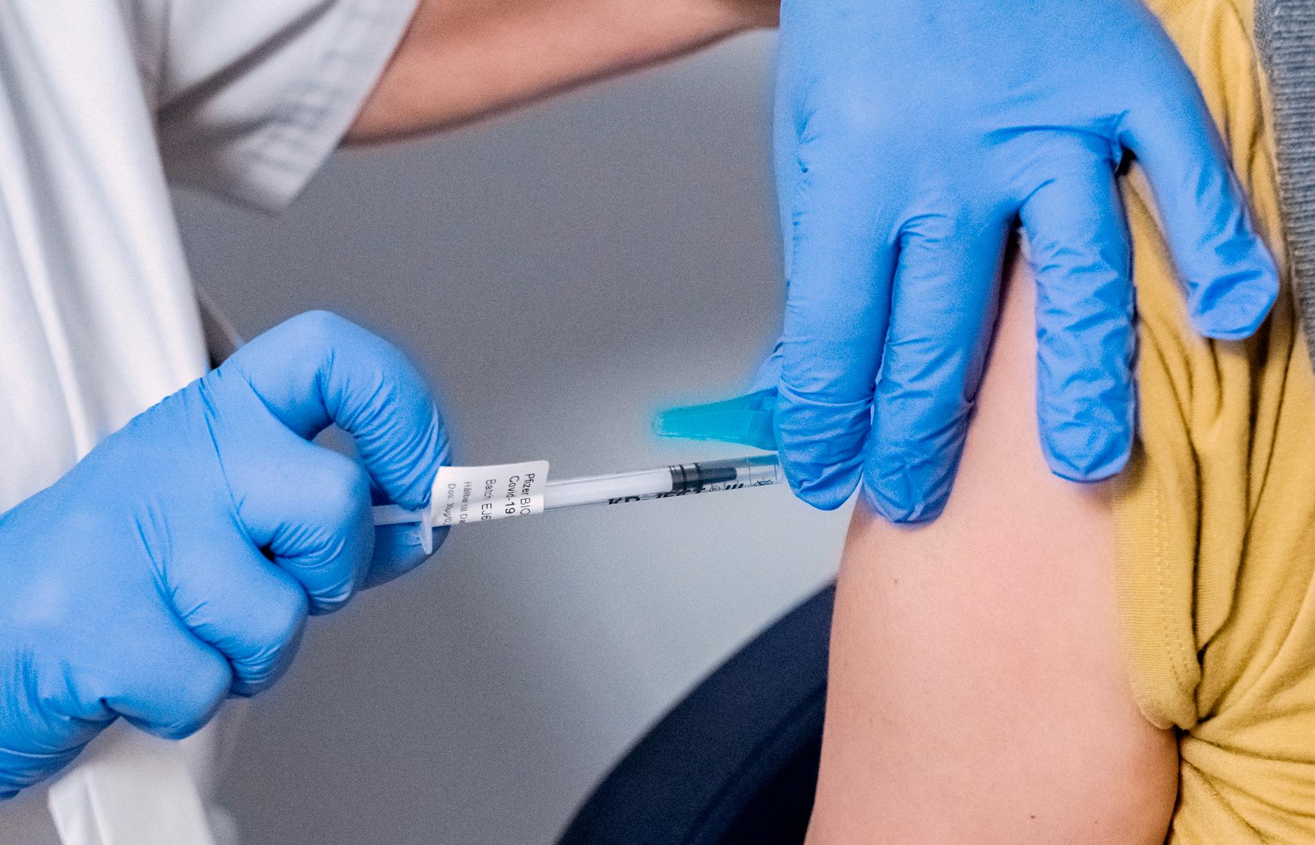Blekinge är en av de platser i Sverige där borreliavaccinet ska testas. Arkivbild.