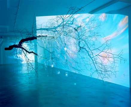 ”Apple tree innocent on diamond hill”, 2003 Videoinstallation. Courtesy konstnären och Hauser & Wirth Zürich London