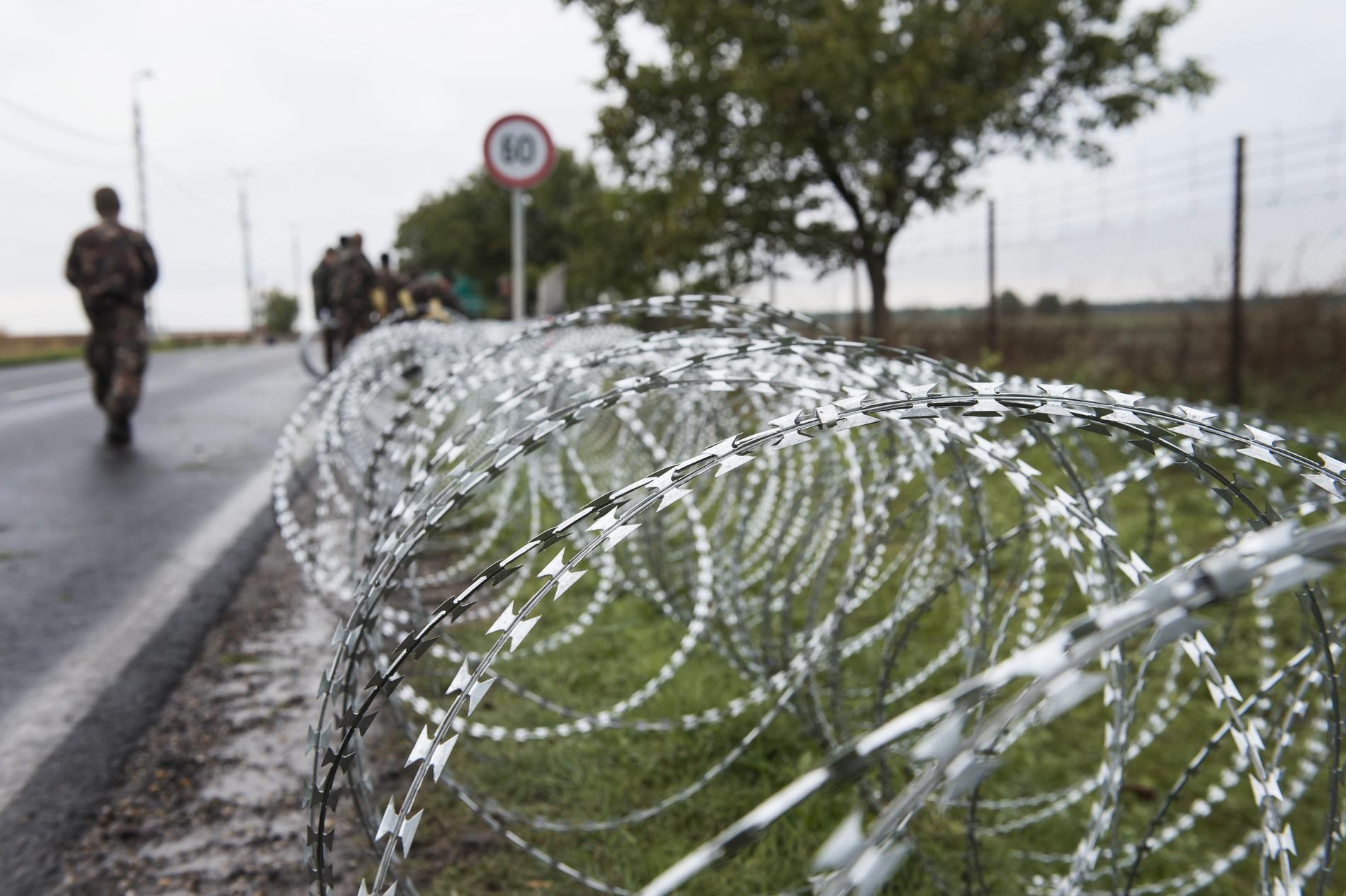  Någon kilometer in i Ungern vid staden Udvar håller militären på att rulla ut ett stängsel, under flyktingkrisen 2015.