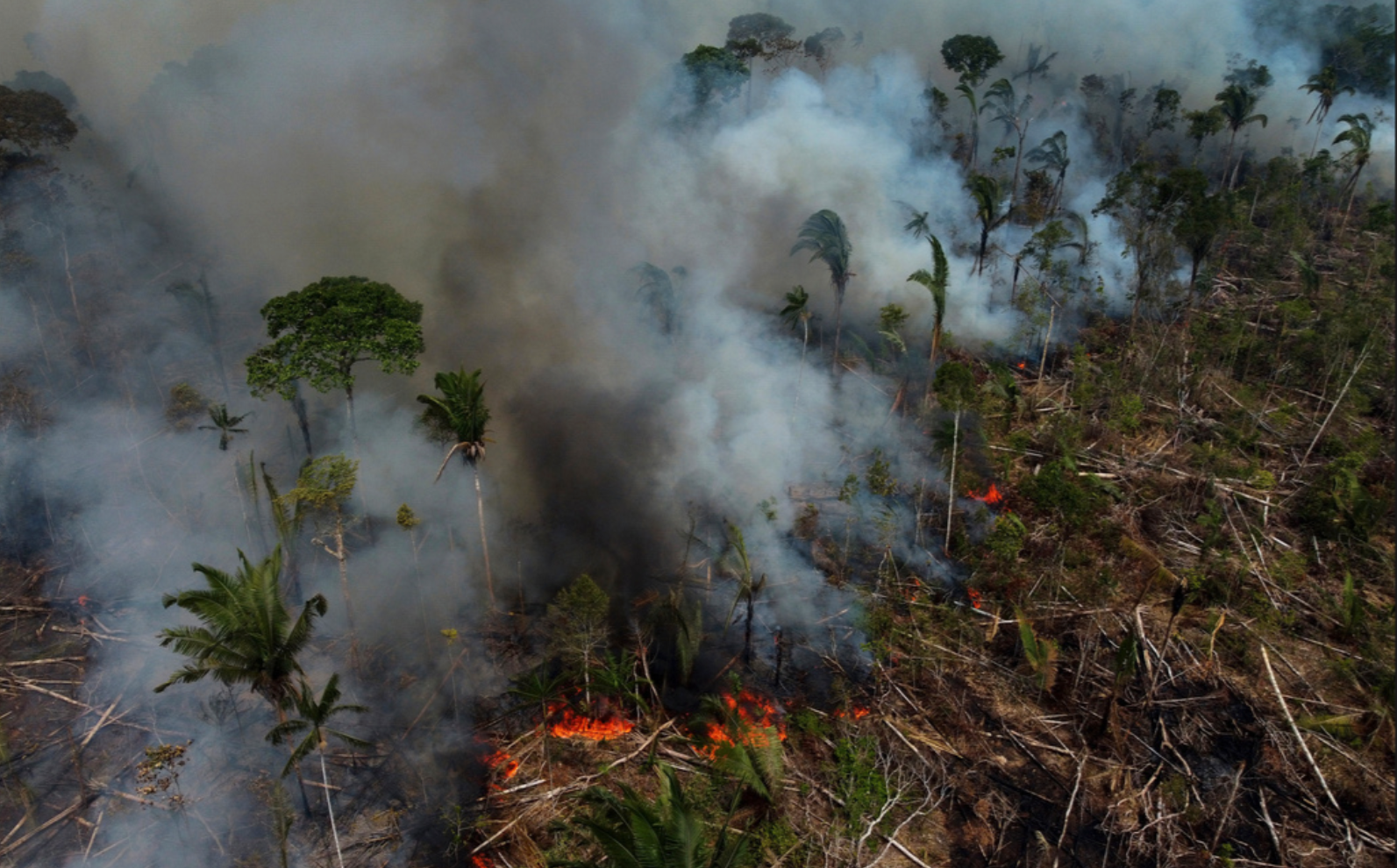 Skogsbrand i Lábrea i delstaten Amazonas i september.