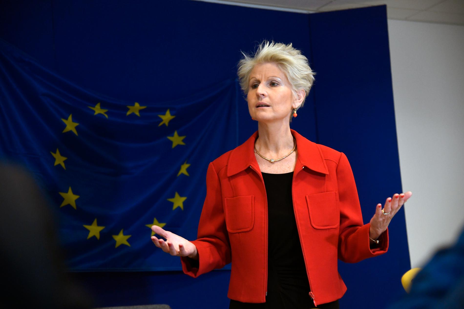 EU-parlamentarikern Anna Maria Corazza Bildt