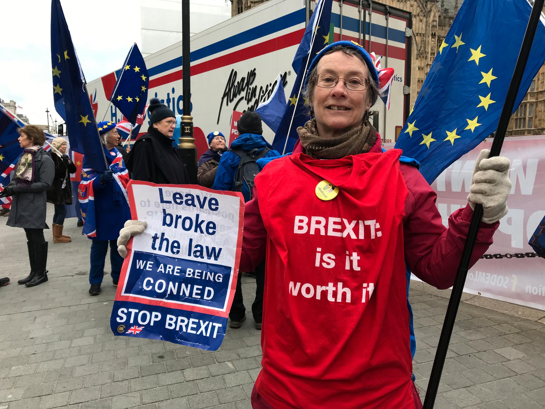 Ruth Fryer bor i Canterbury i sydöstra England men har den senaste tiden ändå demonstrerat nästan varje dag utanför det brittiska parlamentet i London.