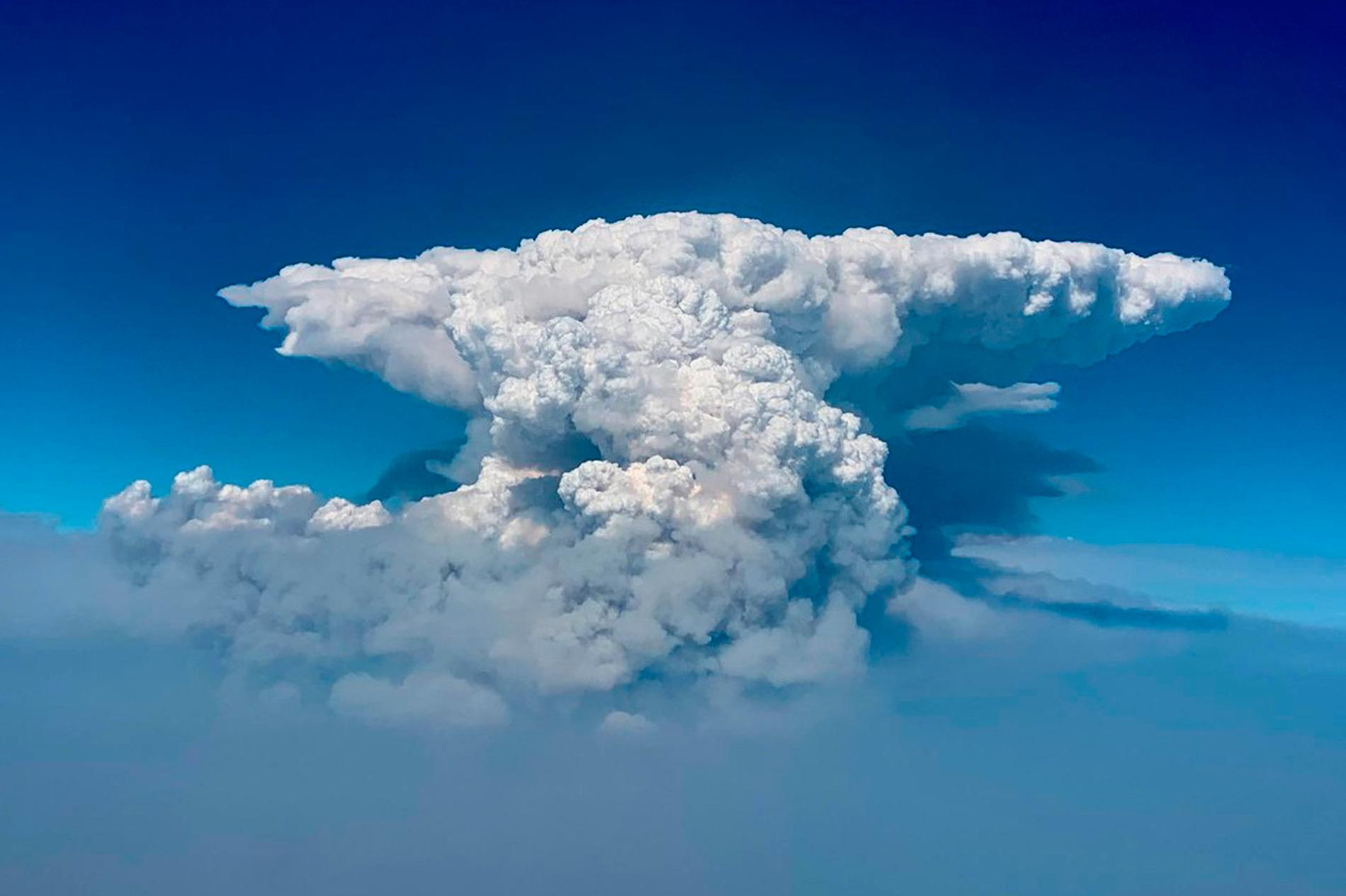 Ett moln som bildats till följd av de kraftiga bränderna i Oregon. 