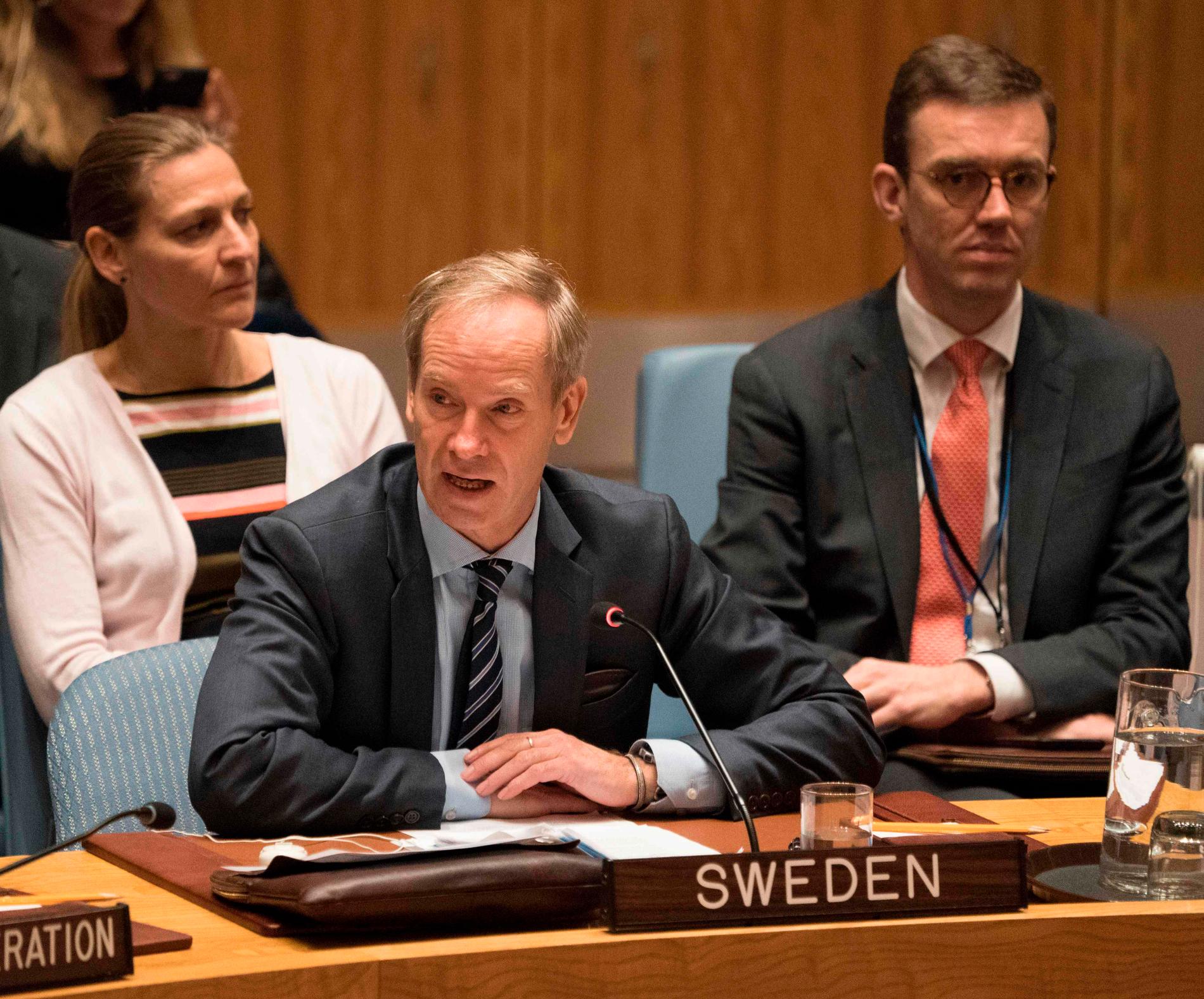 Sveriges FN-representant under förhandlingarna i säkerhetsrådet.