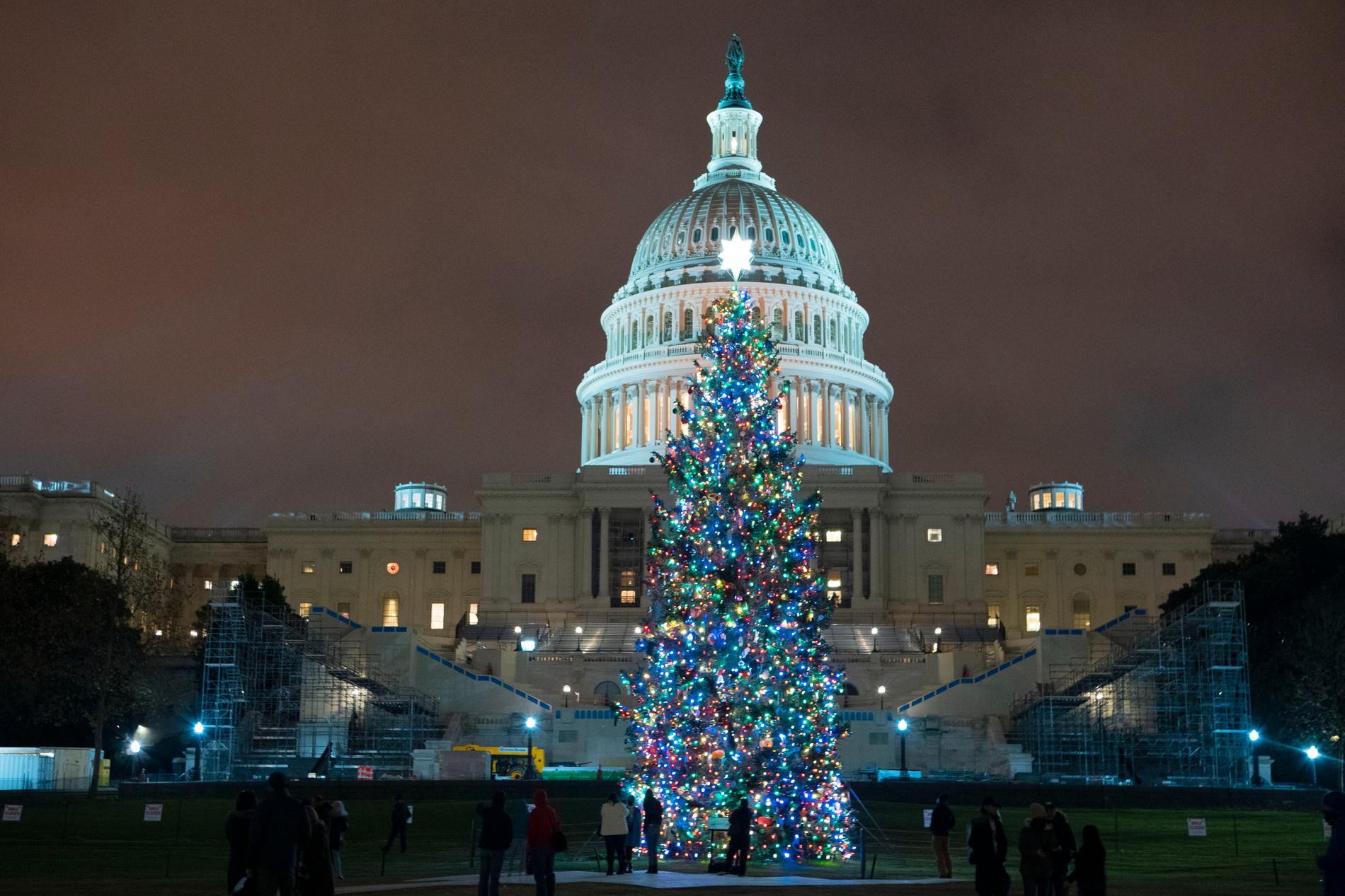 Juldekorationerna är kvar i Washington DC, framför kongressbyggnaden Capitolium.