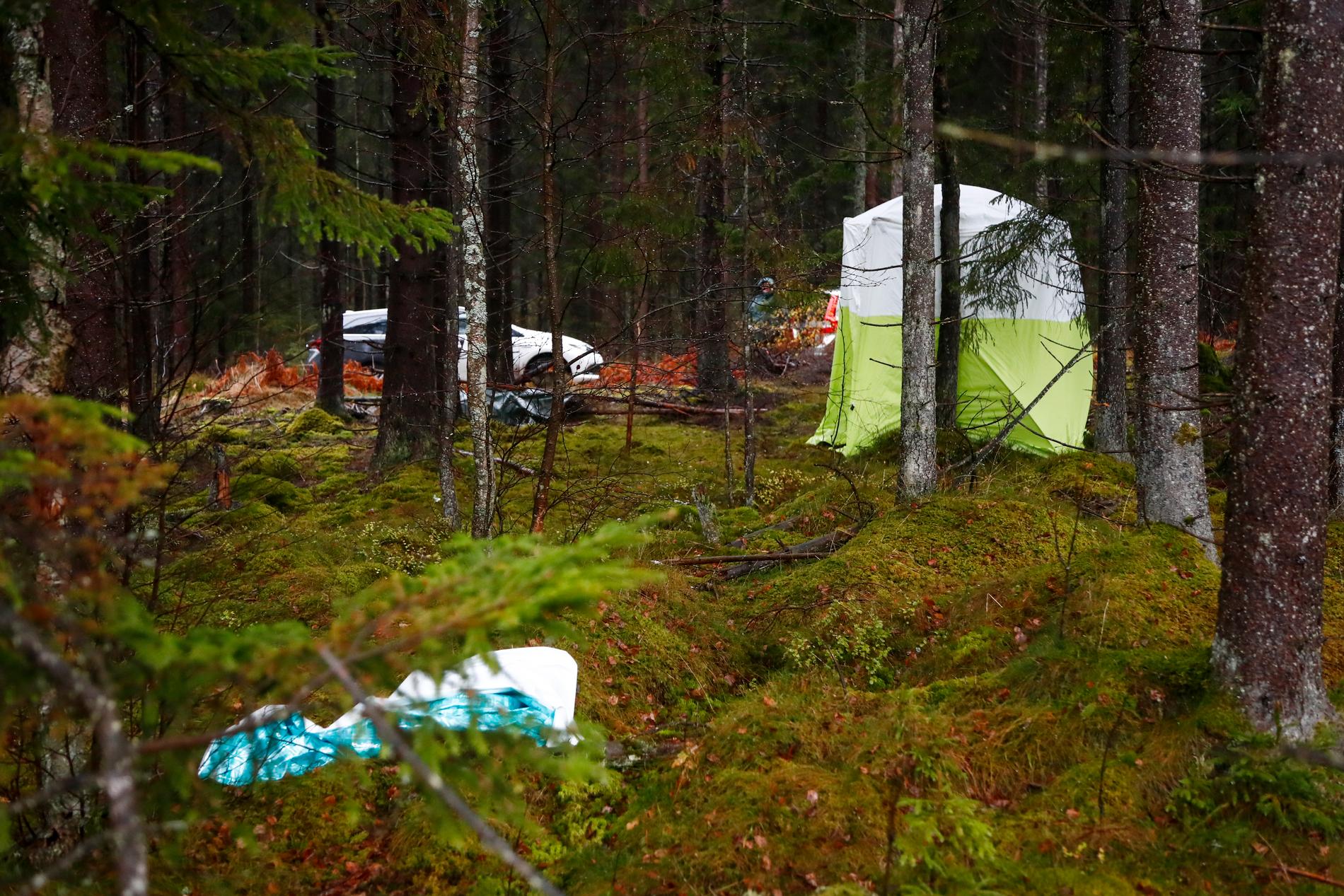 En kvinna i 60-årsåldern hittades död i skogen vid ett joggingspår i Ulricehamn i oktober. Arkivbild.