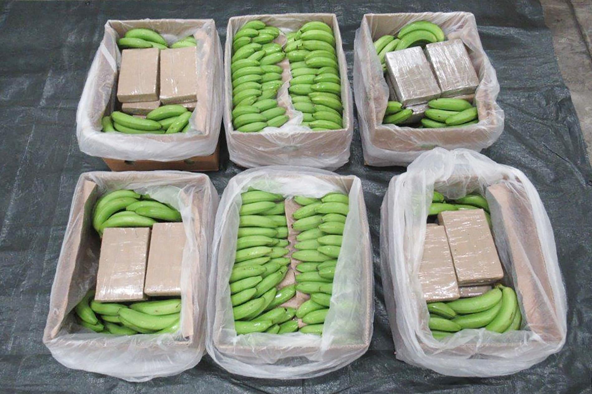 Brittiska polisens rekordtillslag där kokainet hittades i bananlasten.