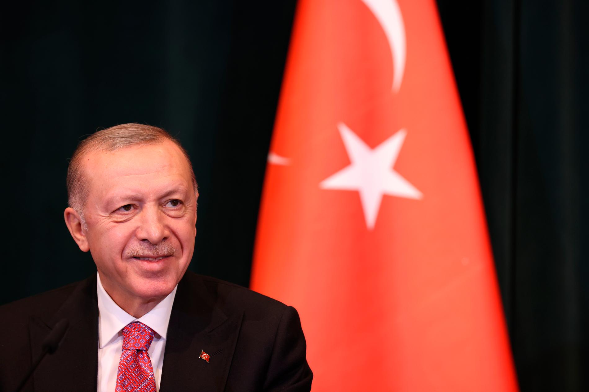 Brottet att förolämpa Turkiets president Recep Tayyip Erdogan (på bilden) ger fängelse i minst ett och högst fyra år. Arkivbild.