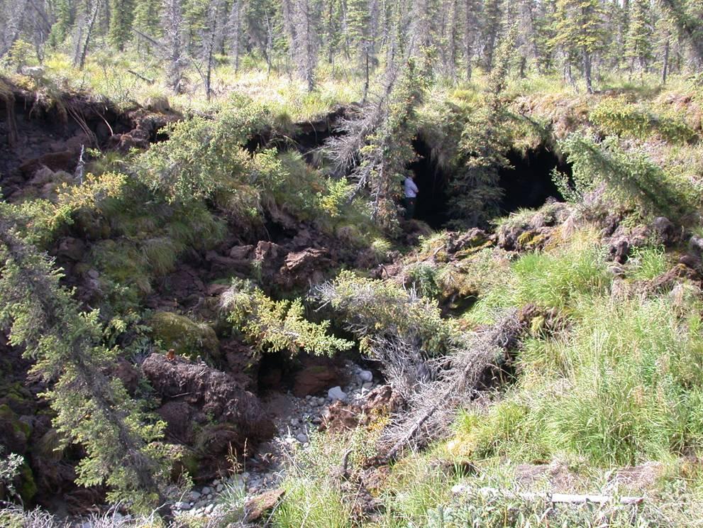 Tinande permafrost har orsakat markkollaps i Alaska. Arkivbild.