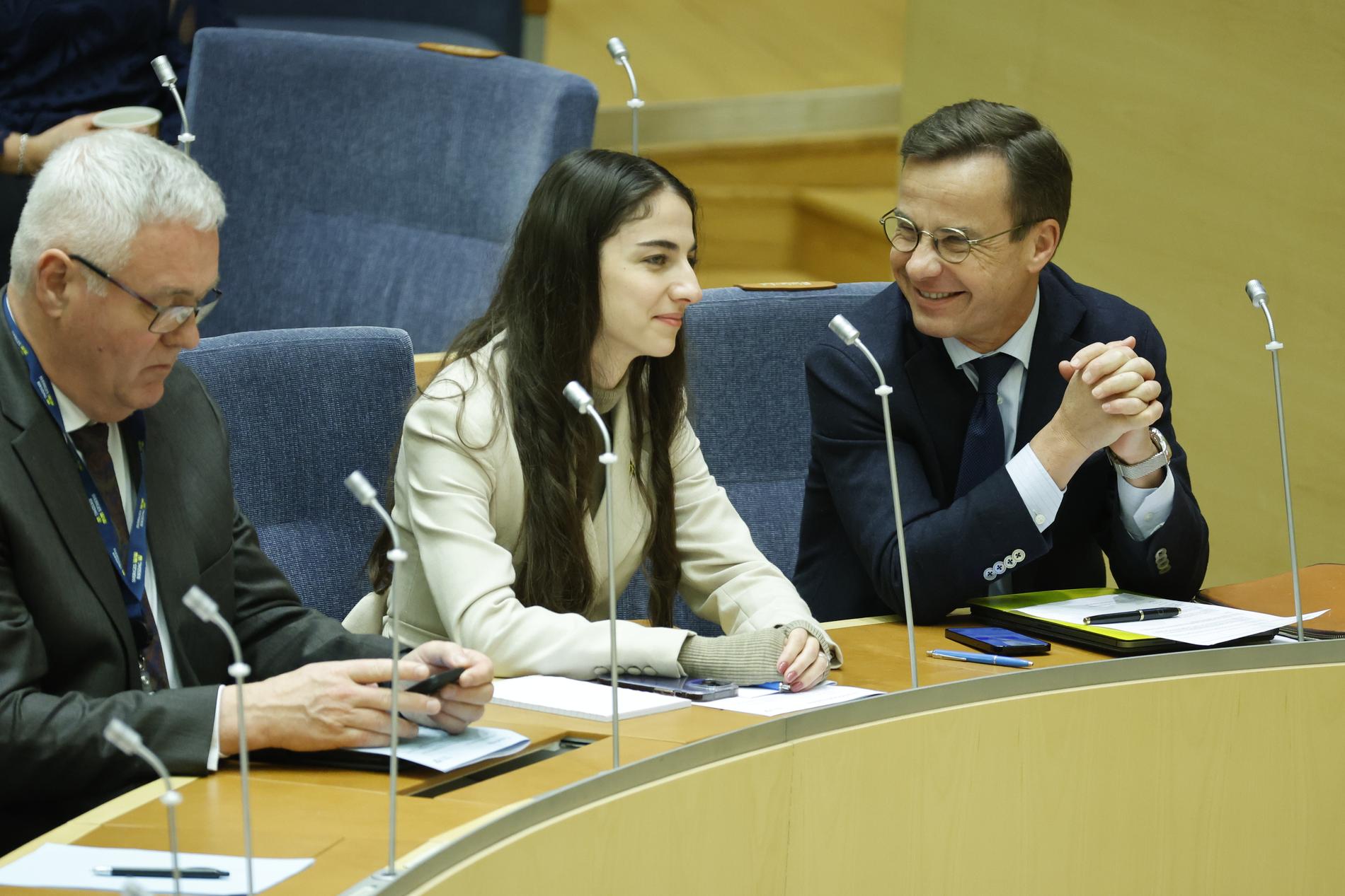 Klimat- och miljöminister Romina Pourmokhtari (L) klarade misstroendeomröstningen på onsdagen.