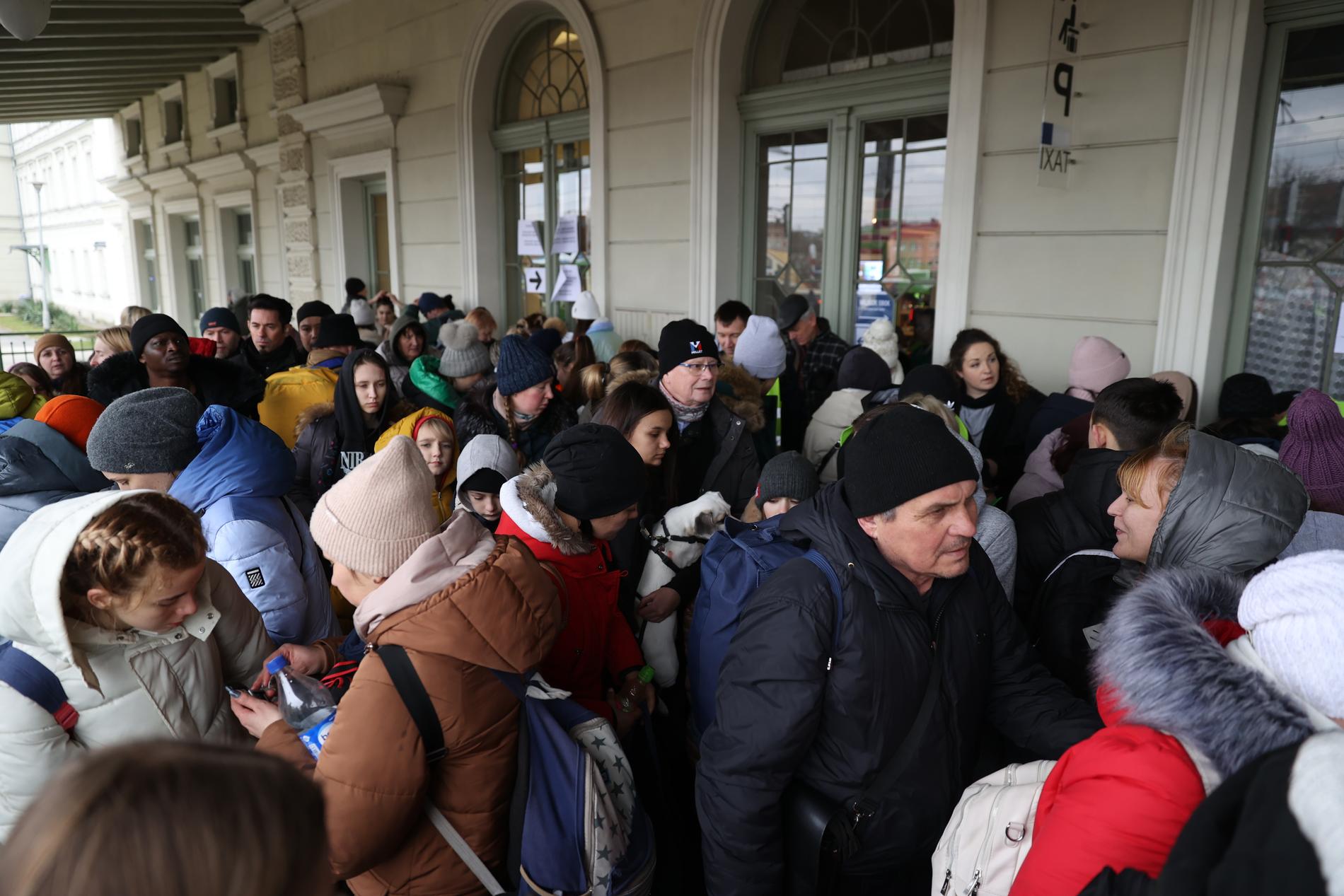 På stationen i Przemysl delar volontärer ut mat, simkort, leksaker, filtar och kläder till flyktingarna. Stationen fylls dagligen av tusentals människor, som vill ta sig vidare – till tryggheten. 