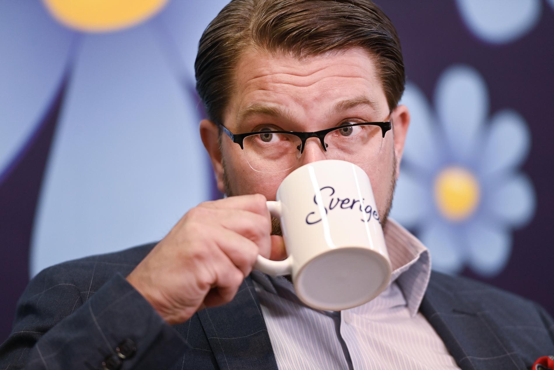 SD-ledare Jimmie Åkesson.