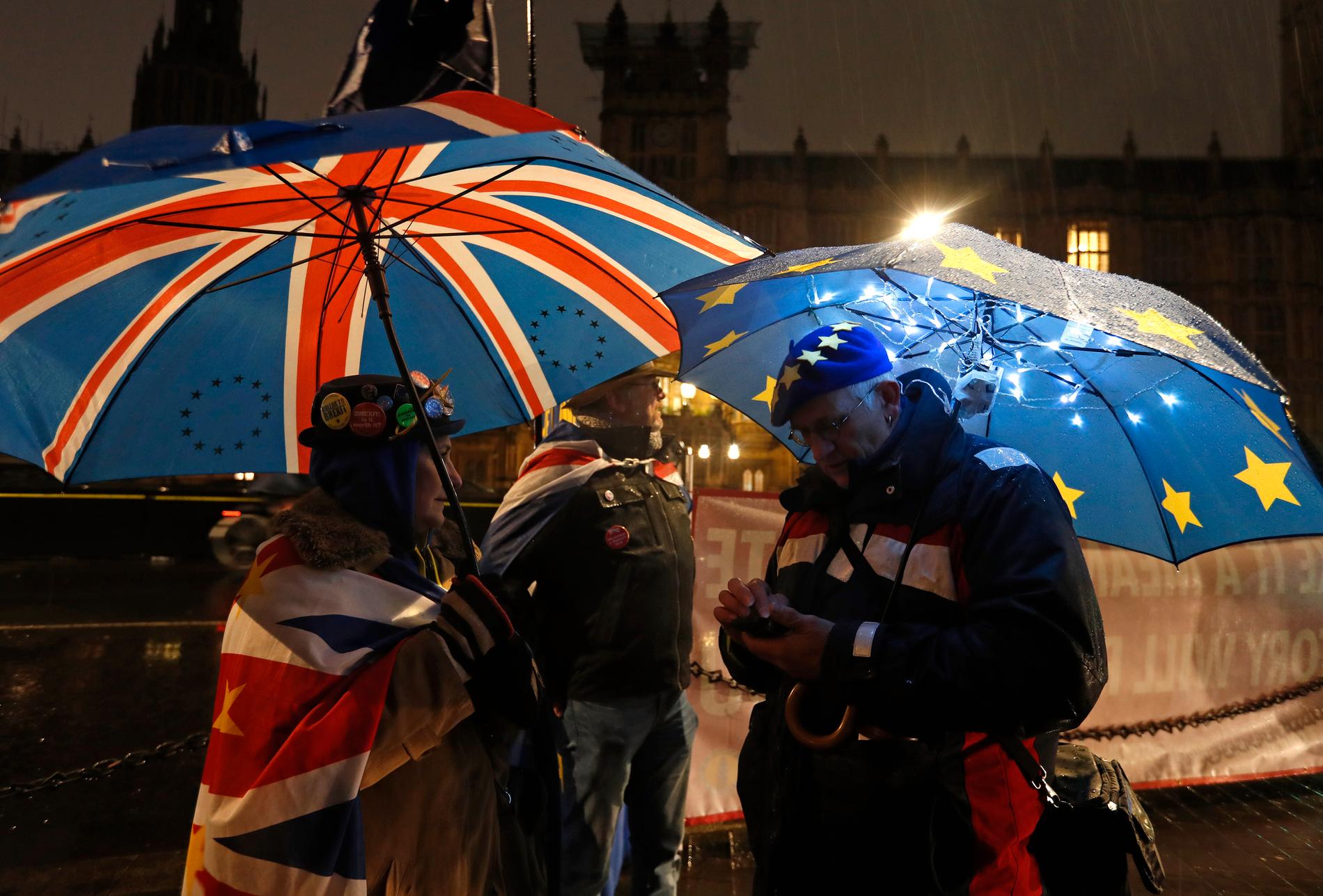 Demonstranter utanför parlamentet i London vid tisdagens omröstningar.