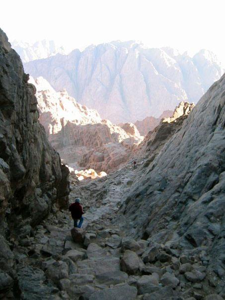 Sinaiöknen, Egypten Vandringen ner från berget går genom trånga bergsraviner där det är alldeles knäpptyst.