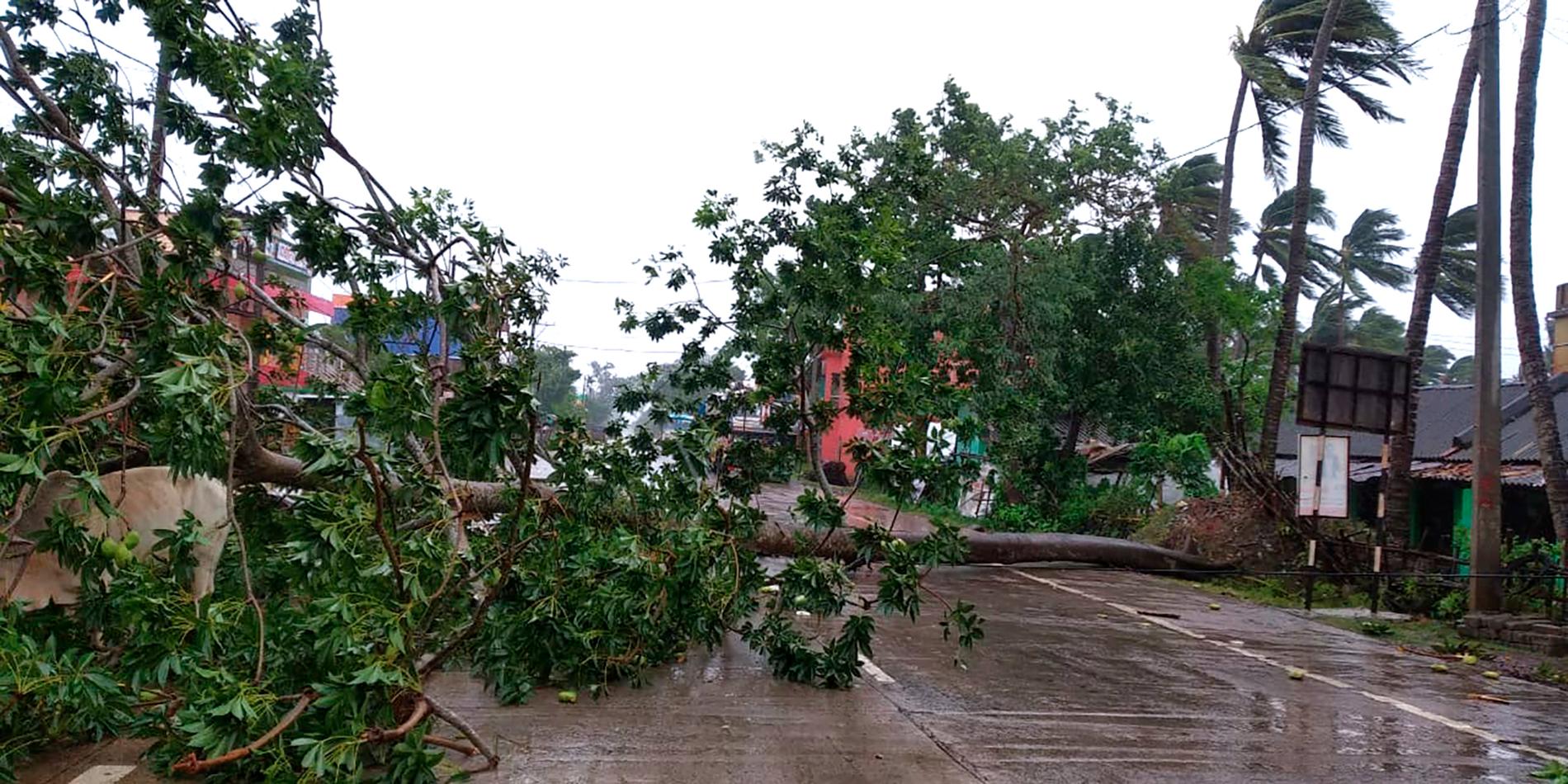 Nedslitna träd över en väg i Odisha i Indien strax efter att cyklonen Amphan dragit in över land på onsdagen.