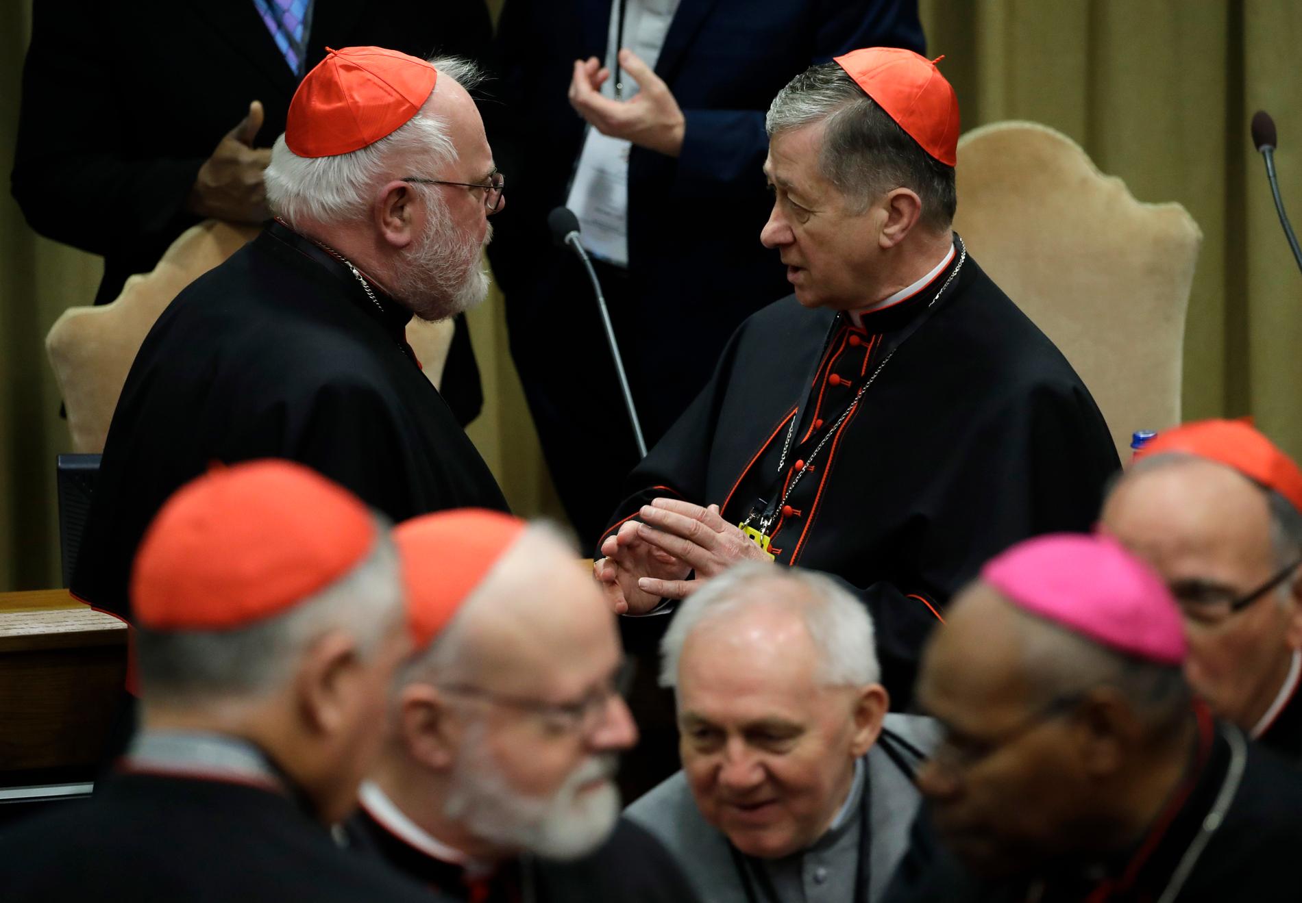 Den tyske kardinalen Reinhard Marx (till vänster i bakre delen av bilden) i samtal med ärkebiskopen i Chicago Blase Cupich under biskopsmötet om sexuella övergrepp inom katolska kyrkan.
