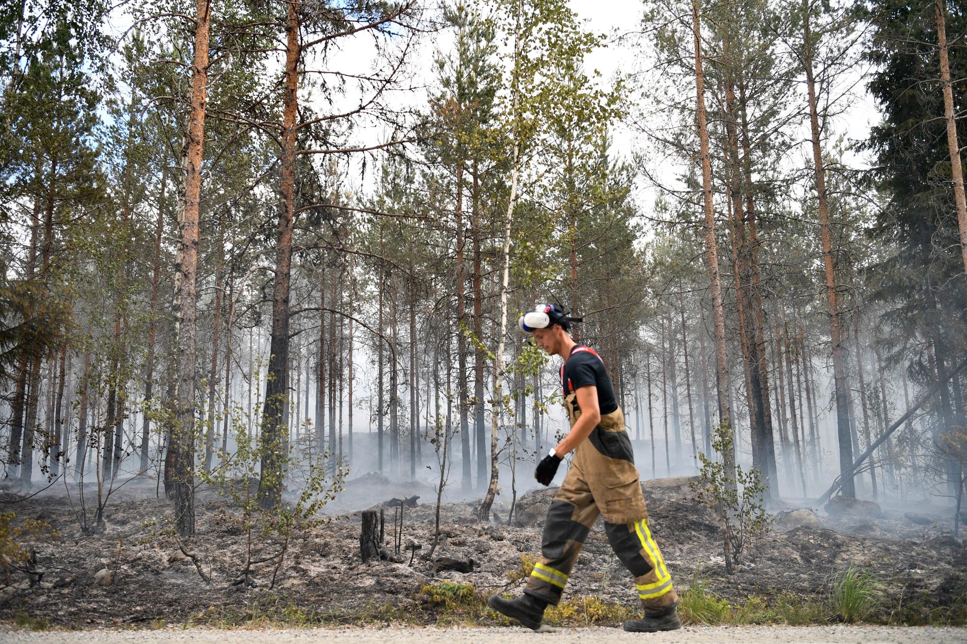 Skogsbrand i Sala i början av juni.