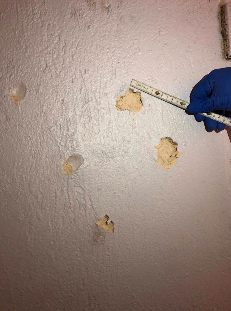 I källaren till parets kafé hittade polisen hål som gjorts med skiftnyckeln. Åklagarens teori är att de misstänkta övade på att slå med skiftnyckeln inför mordet. 